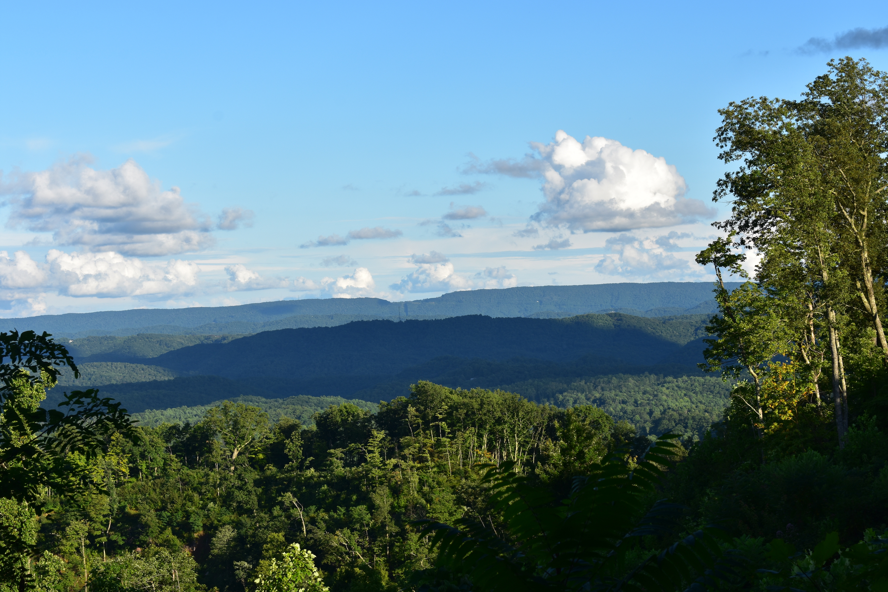 The view from the top of a mountain over a green forest.