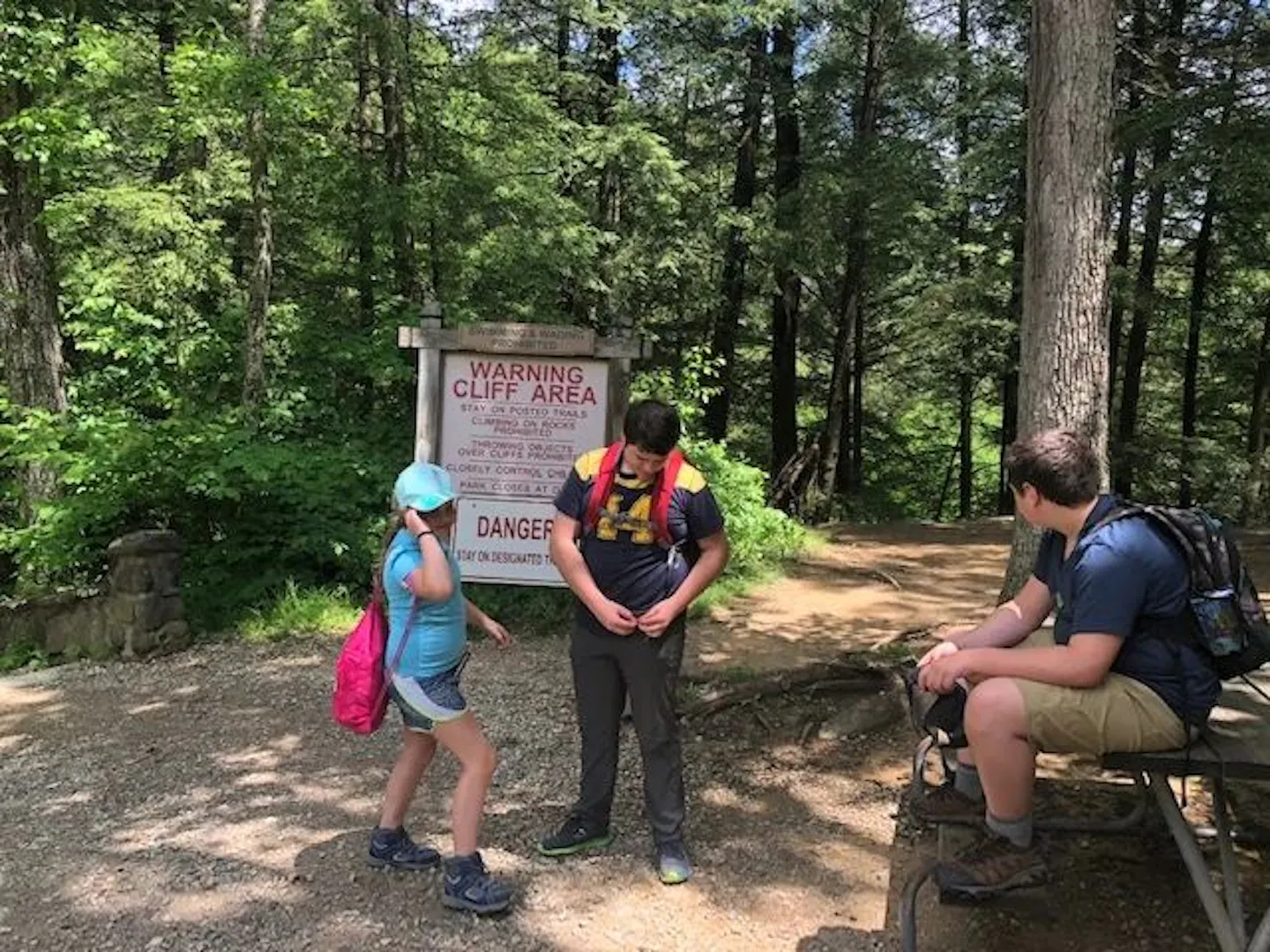 Brandy Gleason's grandkids going on a hike