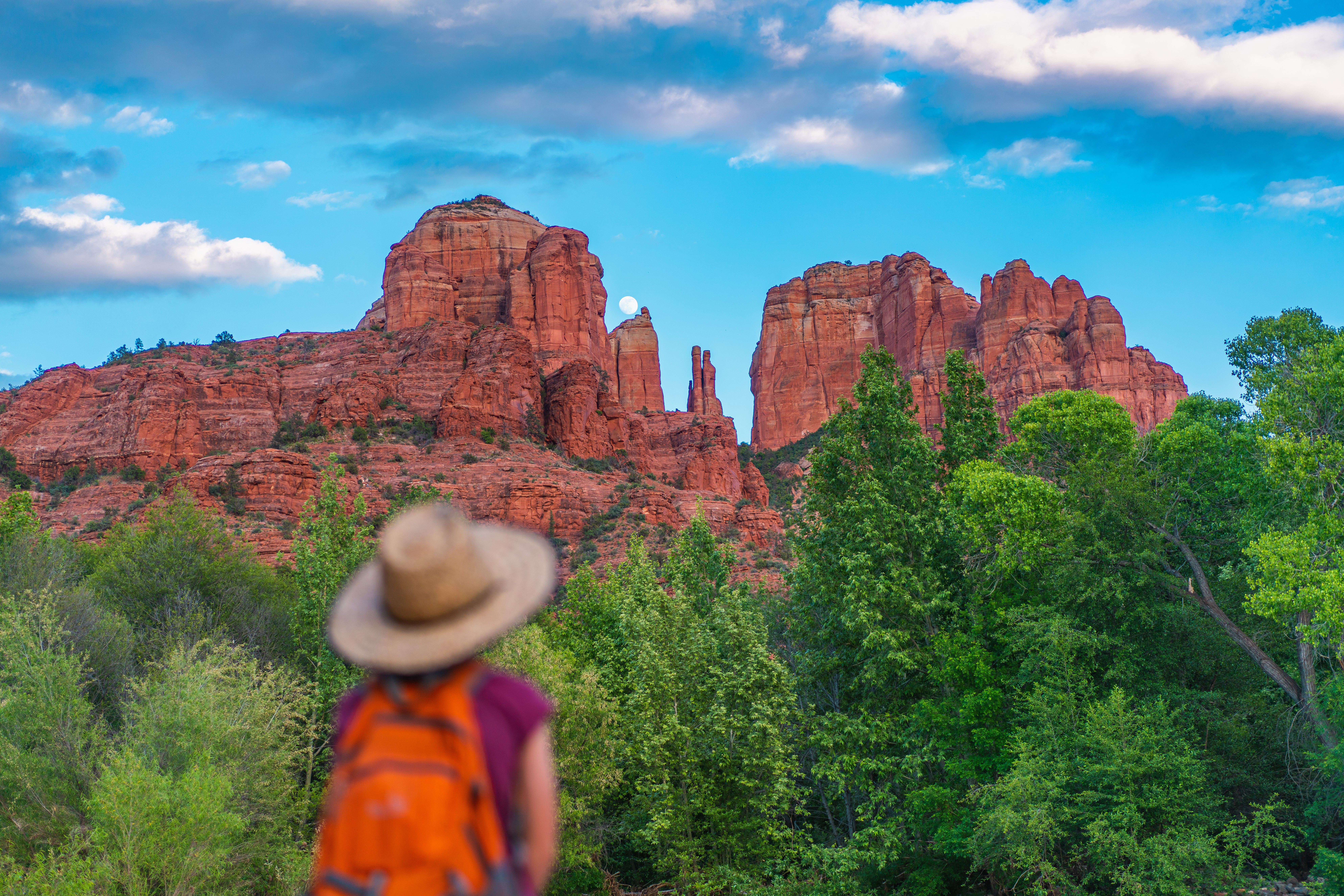 Renee Tilby's child looking at the rock formations in coconino national forest