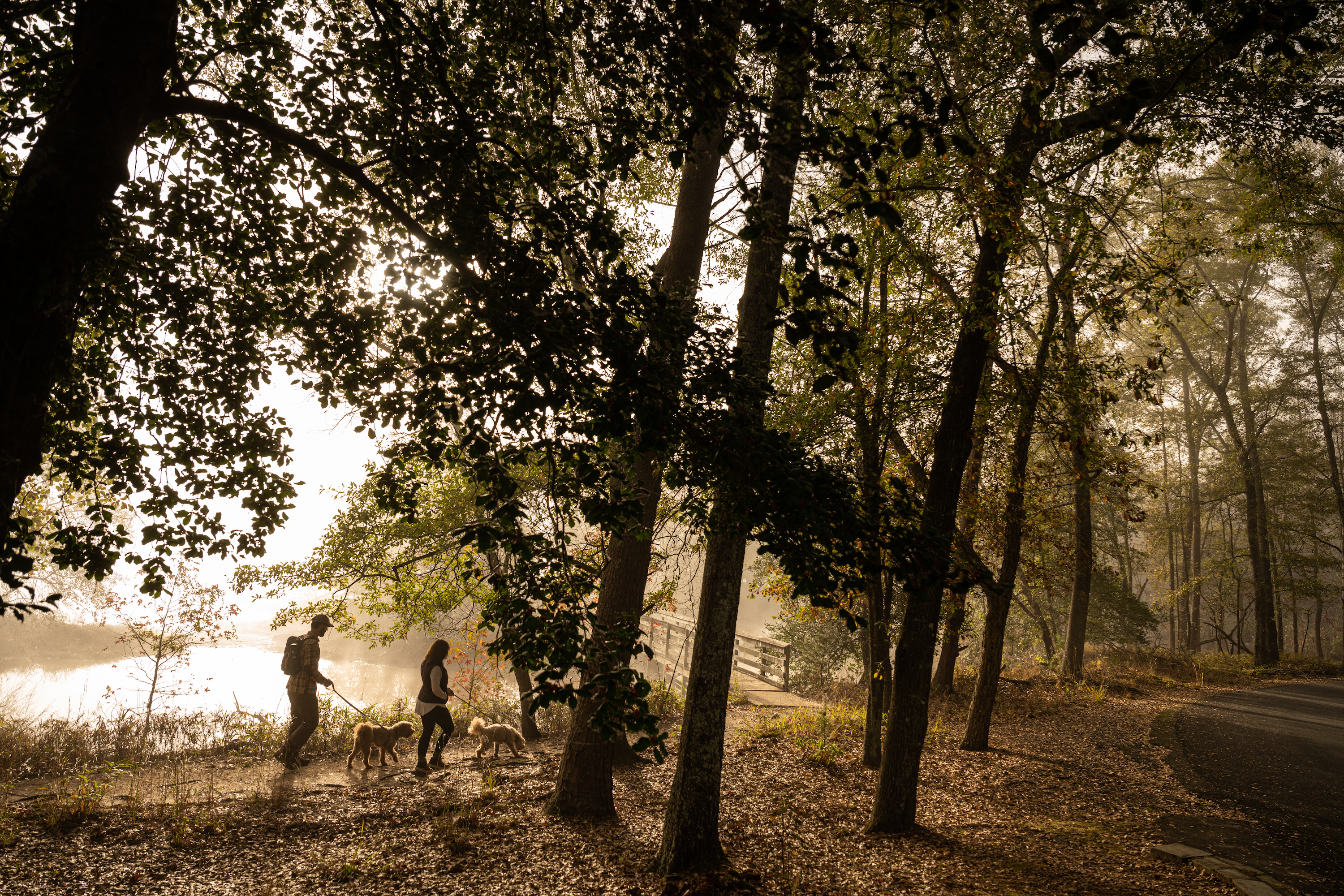 Todd and Marcia Schabel on a walk with their dogs through a trail near a lake