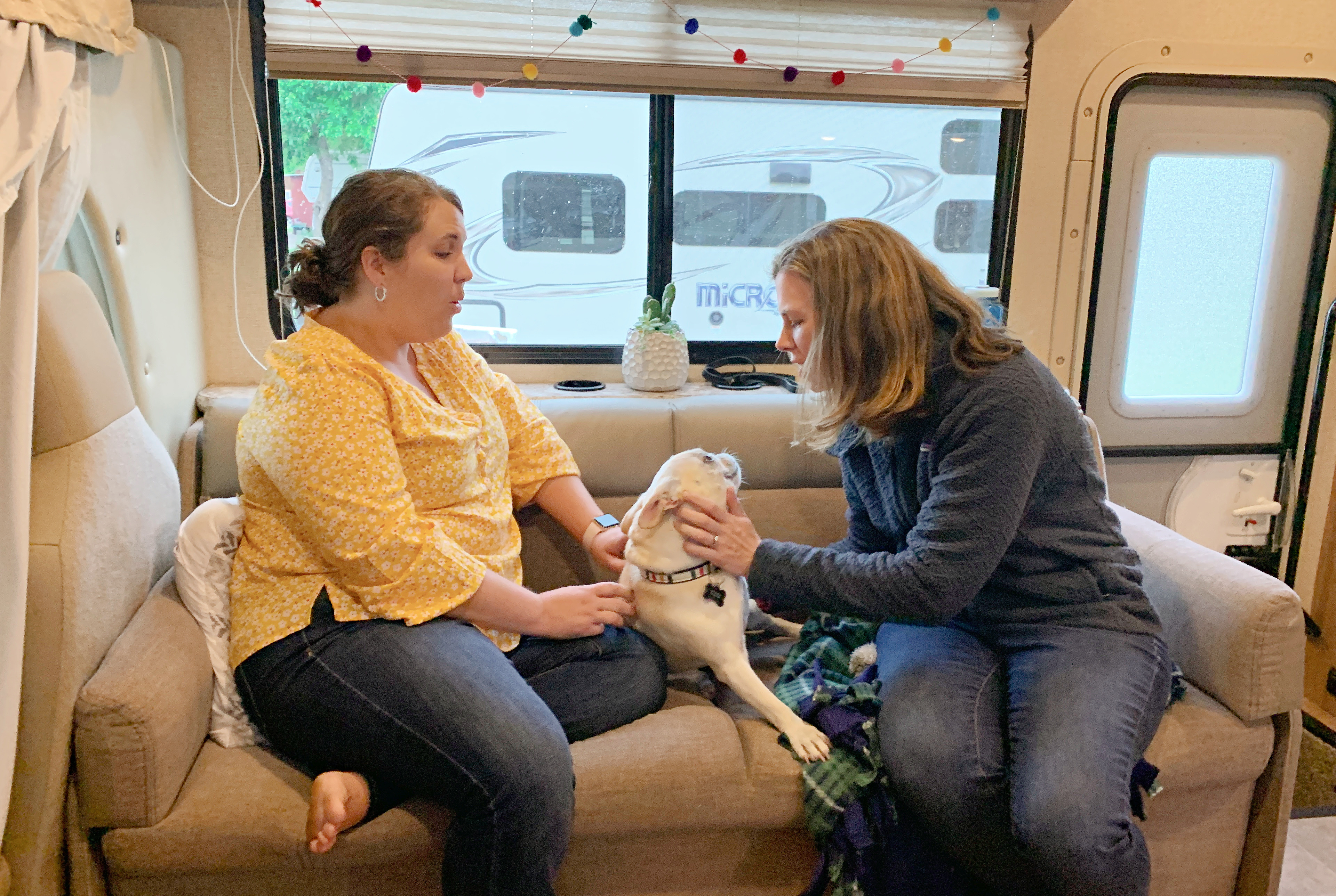 Sarah Hubbart's dog greets visitors on the couch in her Thor Motor Coach Chateau.