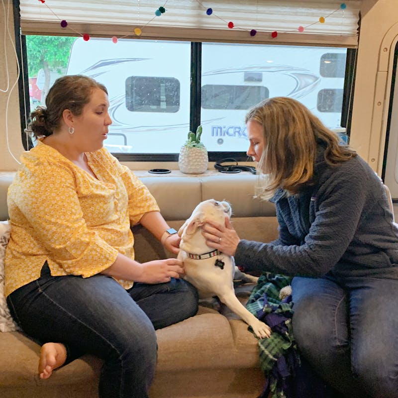 Sarah Hubbart's dog greets visitors on the couch in her Thor Motor Coach Chateau.