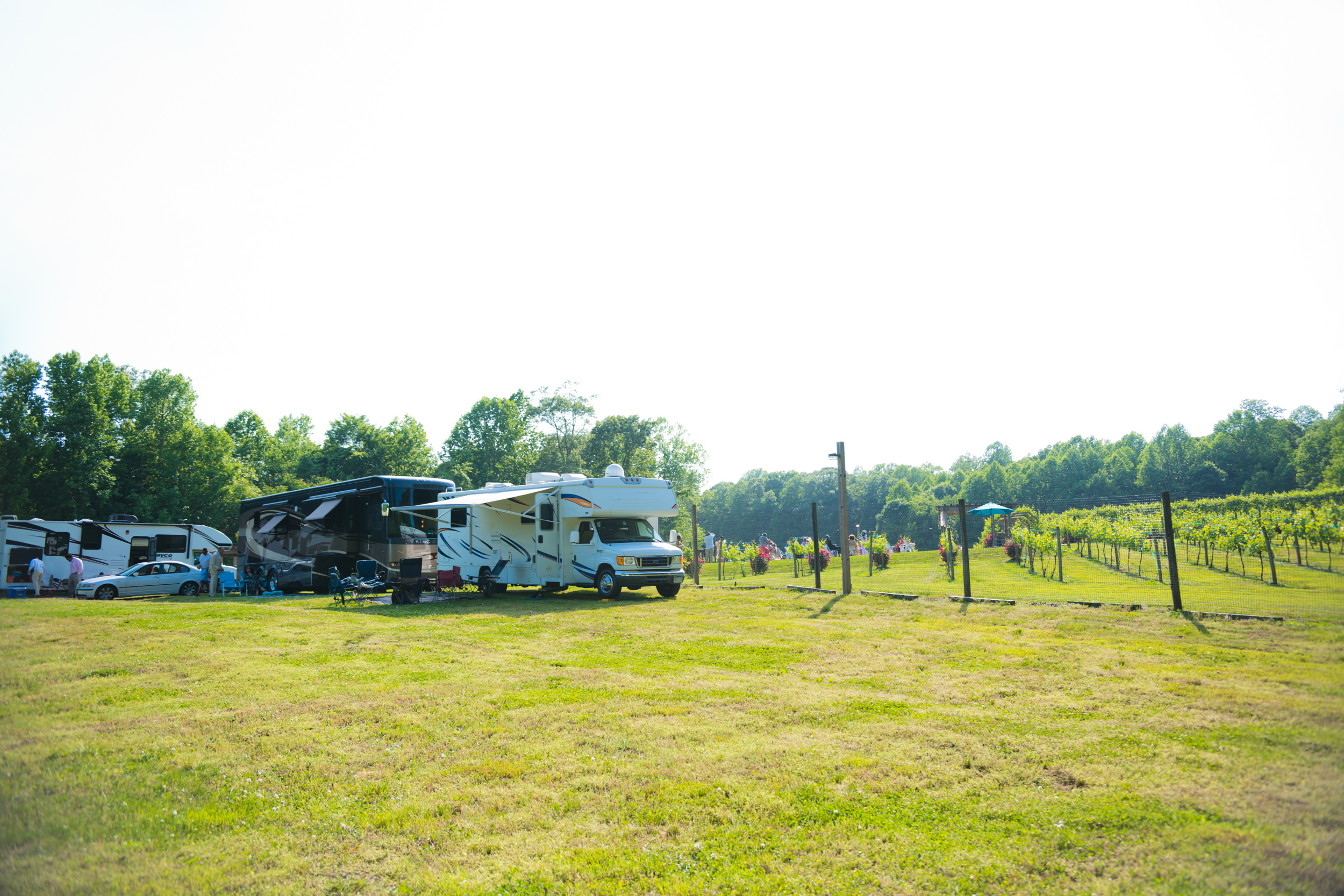 A row of RVs lined up by a vineyard for Sonya and Ray's wedding