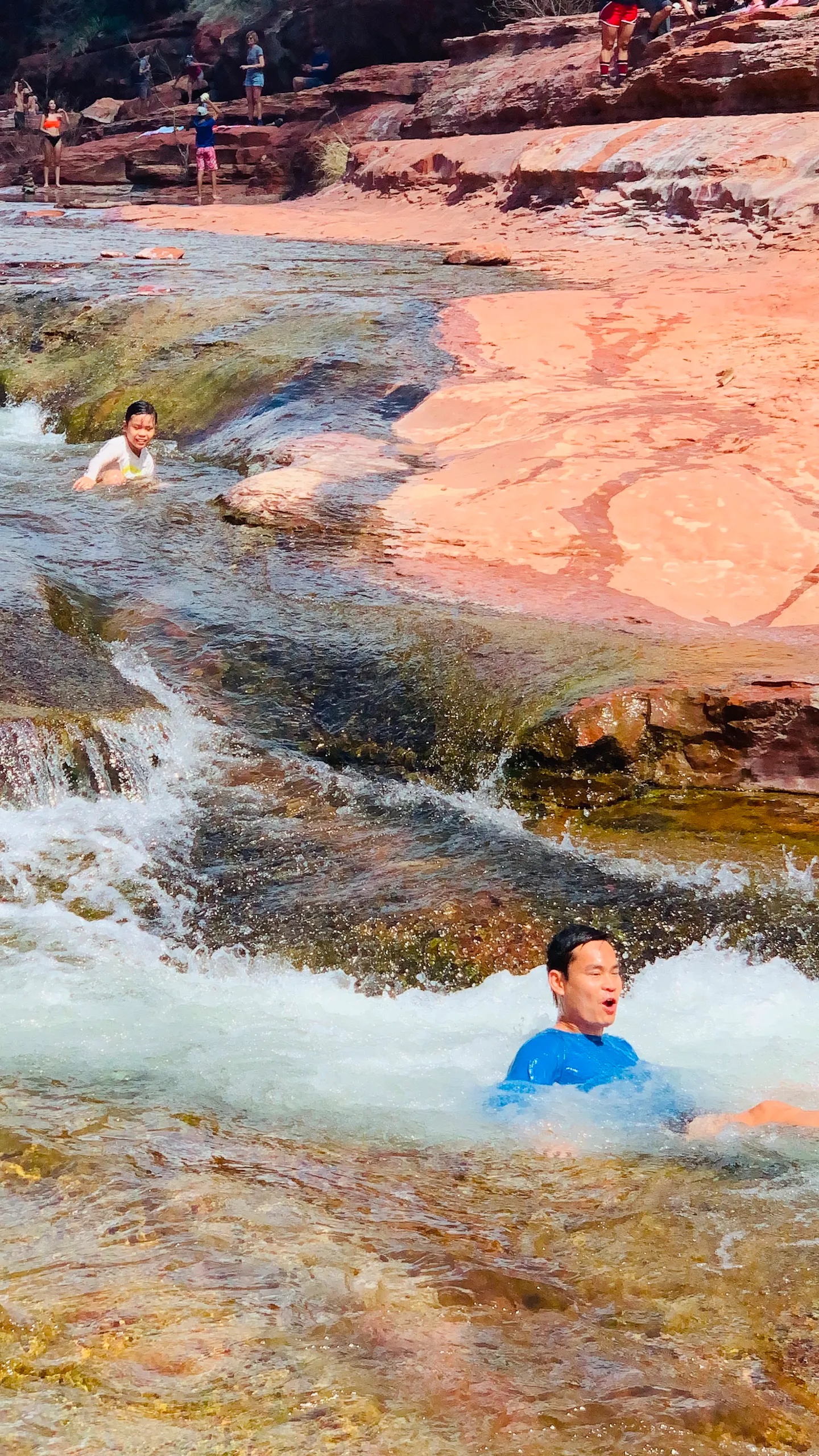 Tiger sliding down a waterfall