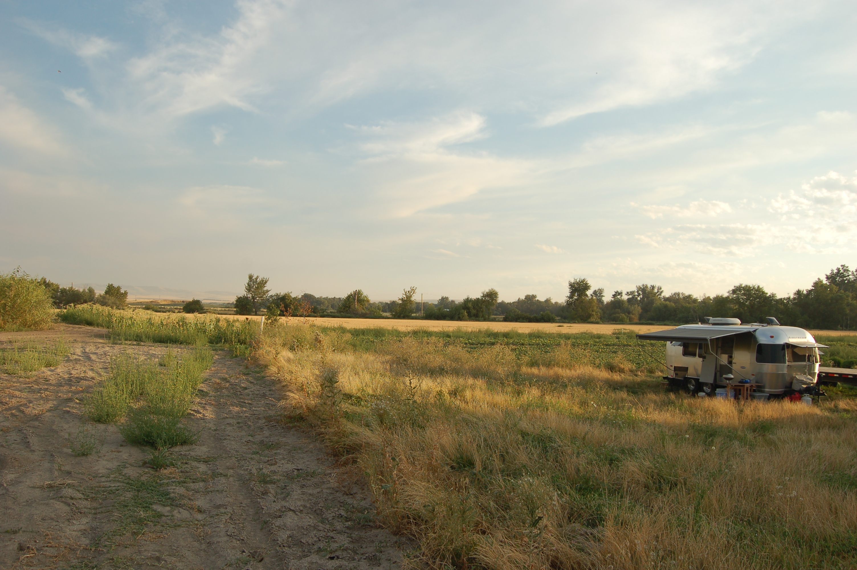 An Airstream parked and set up in a grassy field.