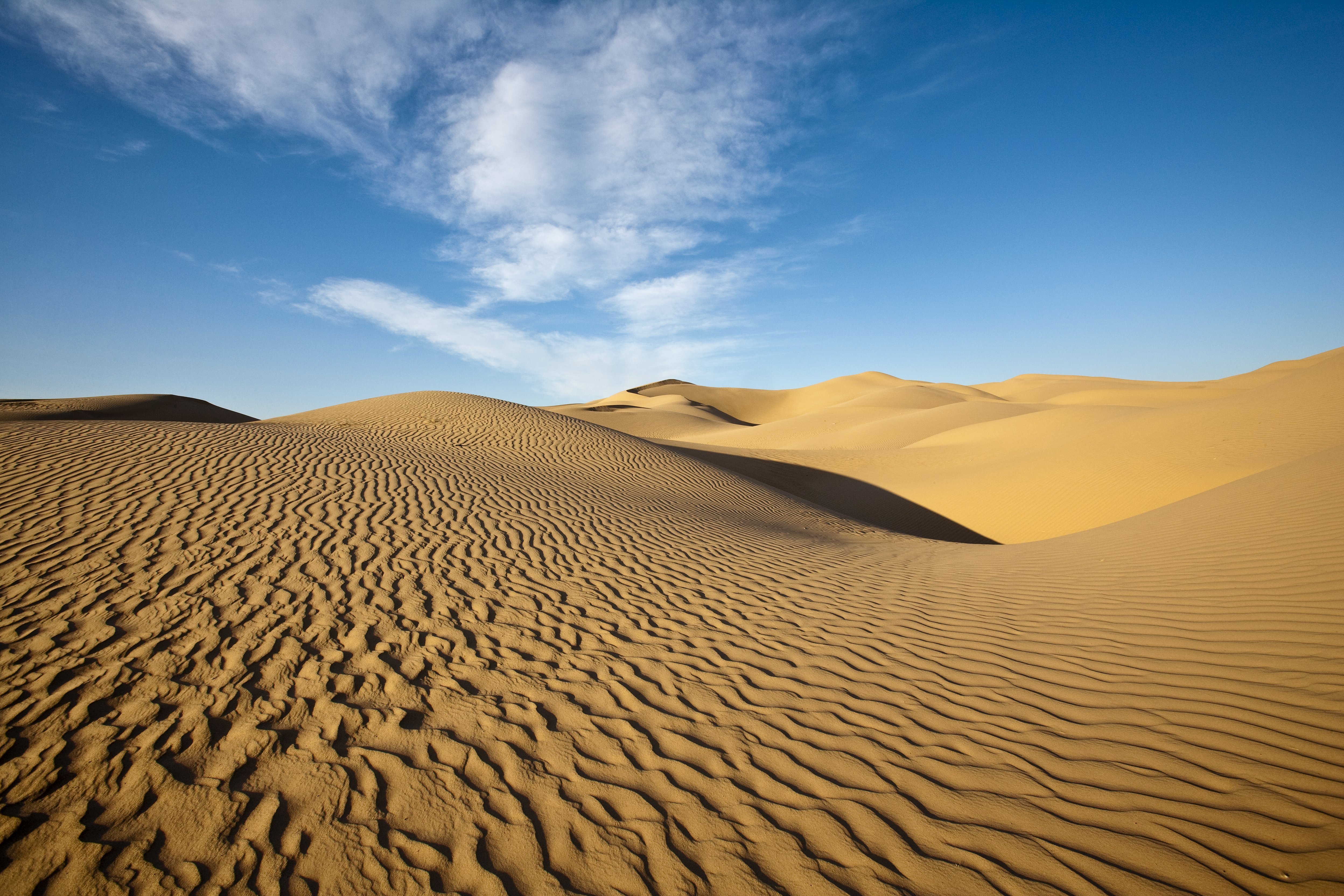 The rippling sand dunes of Imperial County, California. 