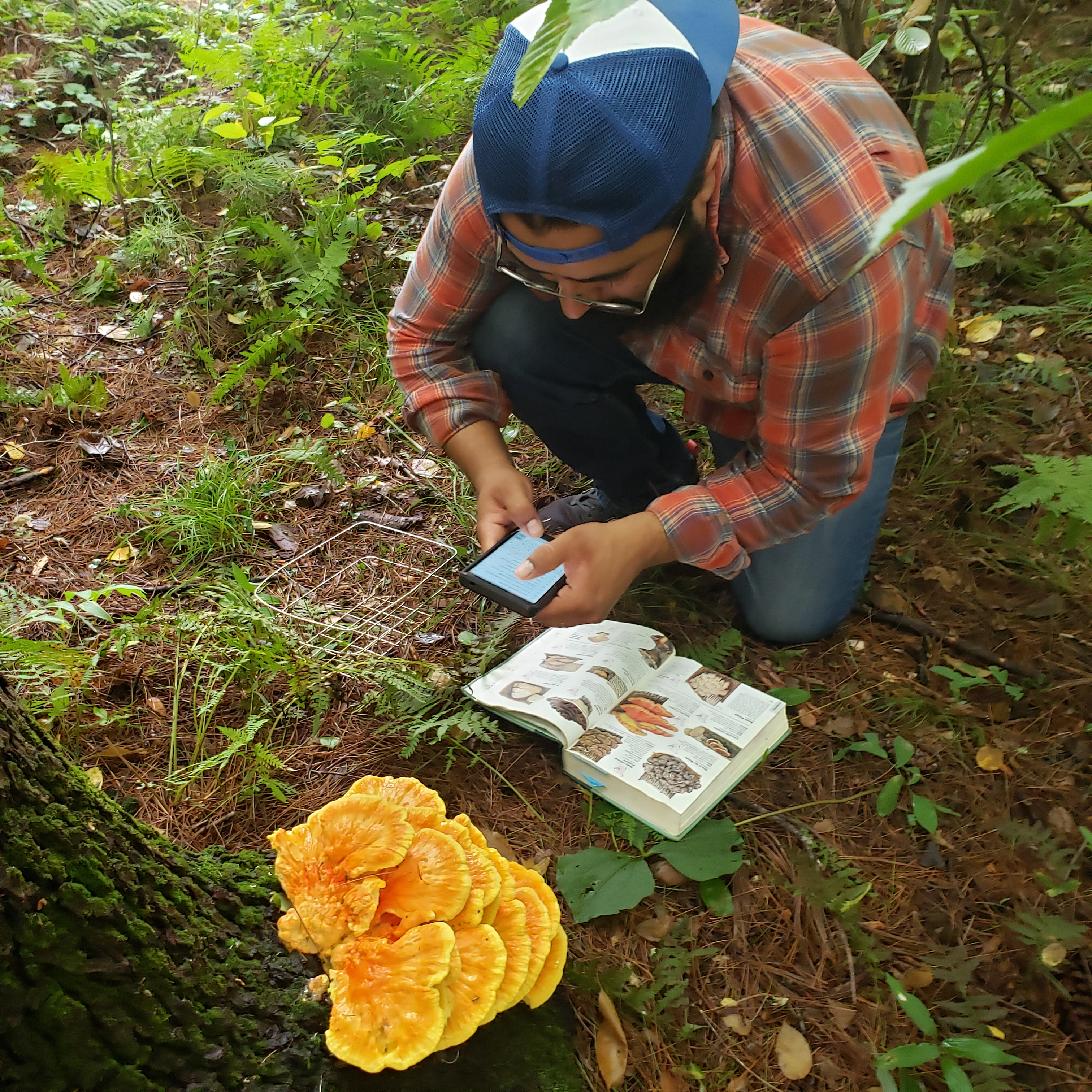 Sandra Peña's husband identifies a large mushroom on the forest floor.