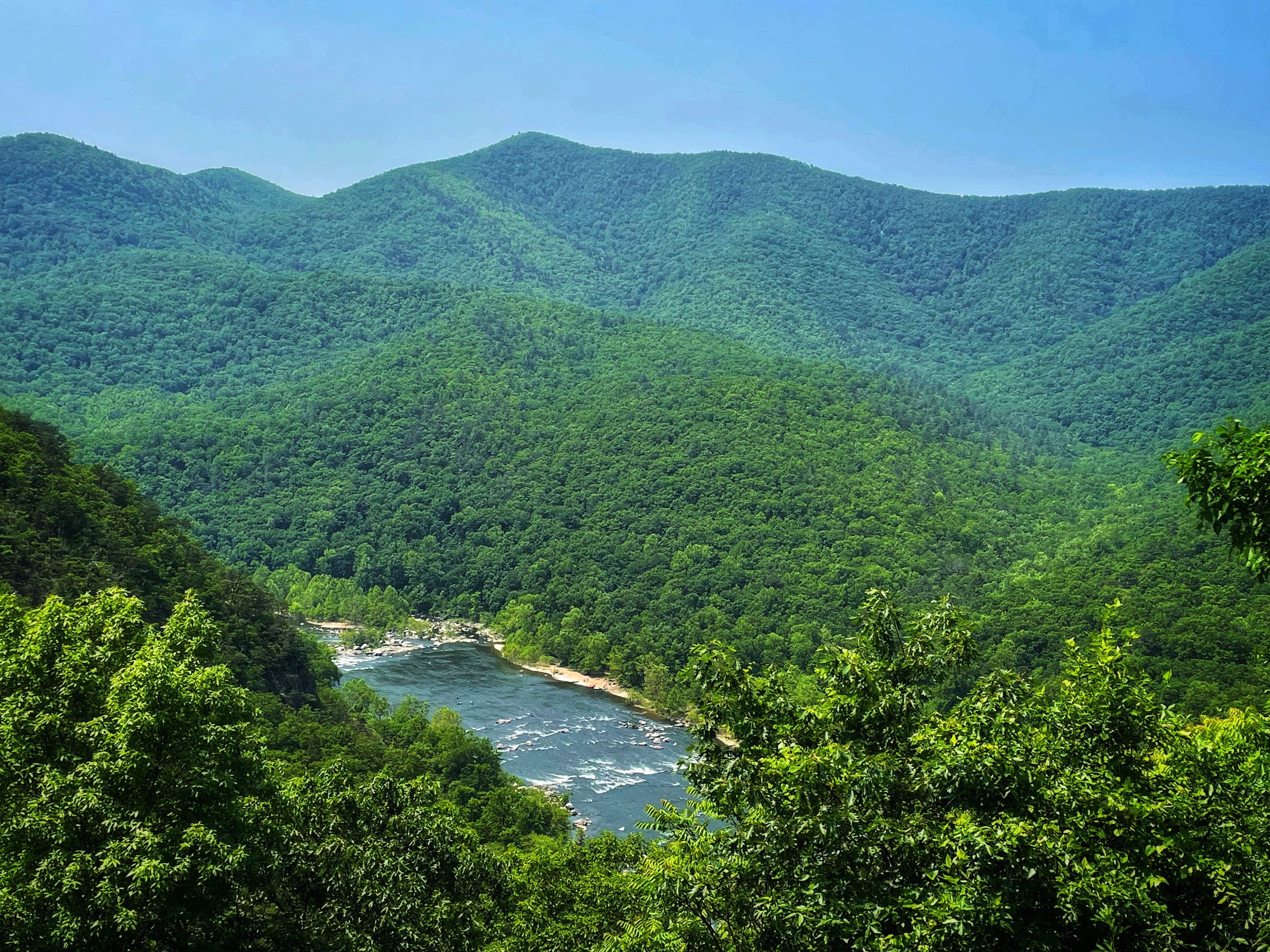 Christina and Ben McMillan's photo of the trees George Washington and Jefferson National Forest
