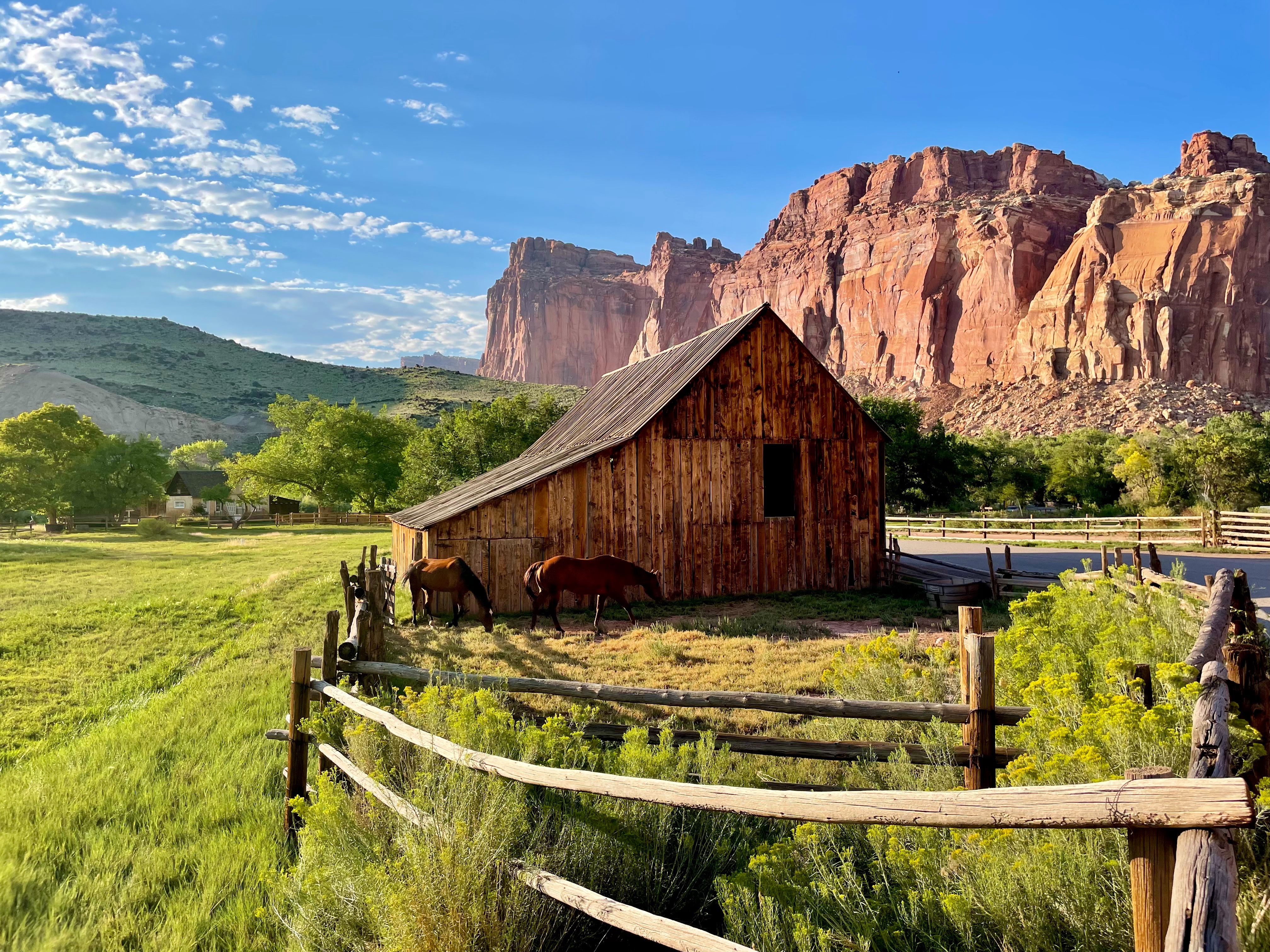 GIANCARLO DAMIANI AND ERIK LEAZURE's photo of   Fruita Campground
