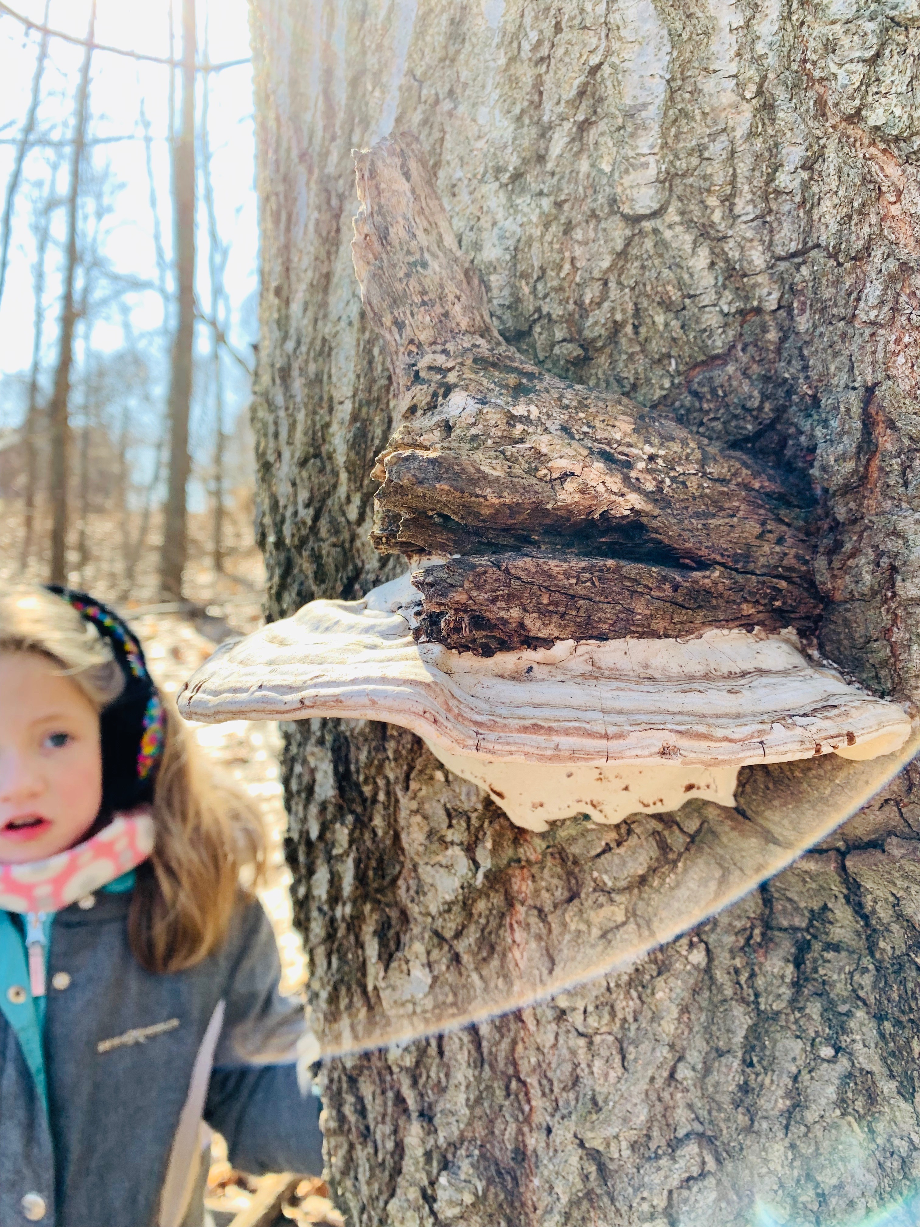 Young girl approaches a tree trunk with bark growth 