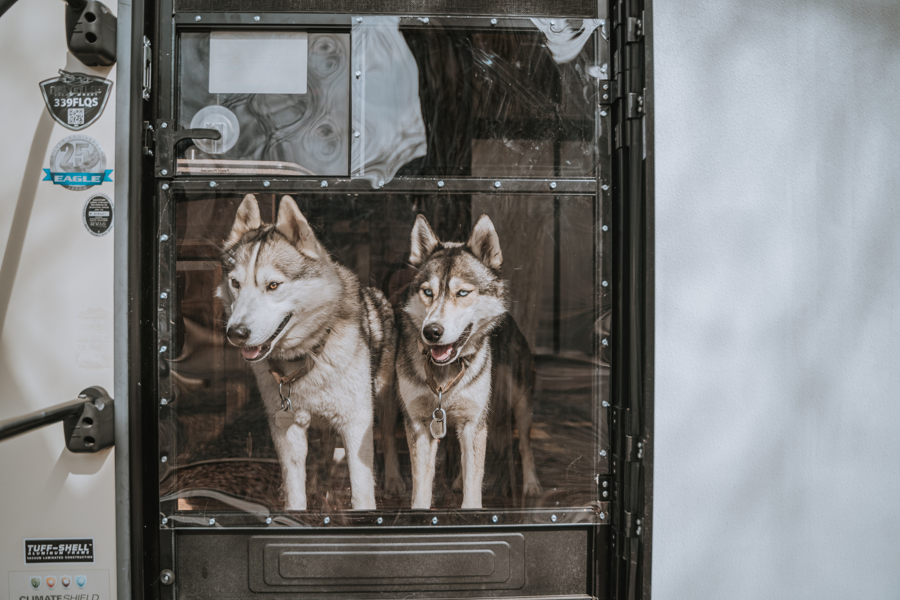 Two huskies looking out an RV door window. 