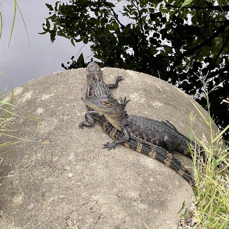 Total Savings: $1,968.62 (67%)