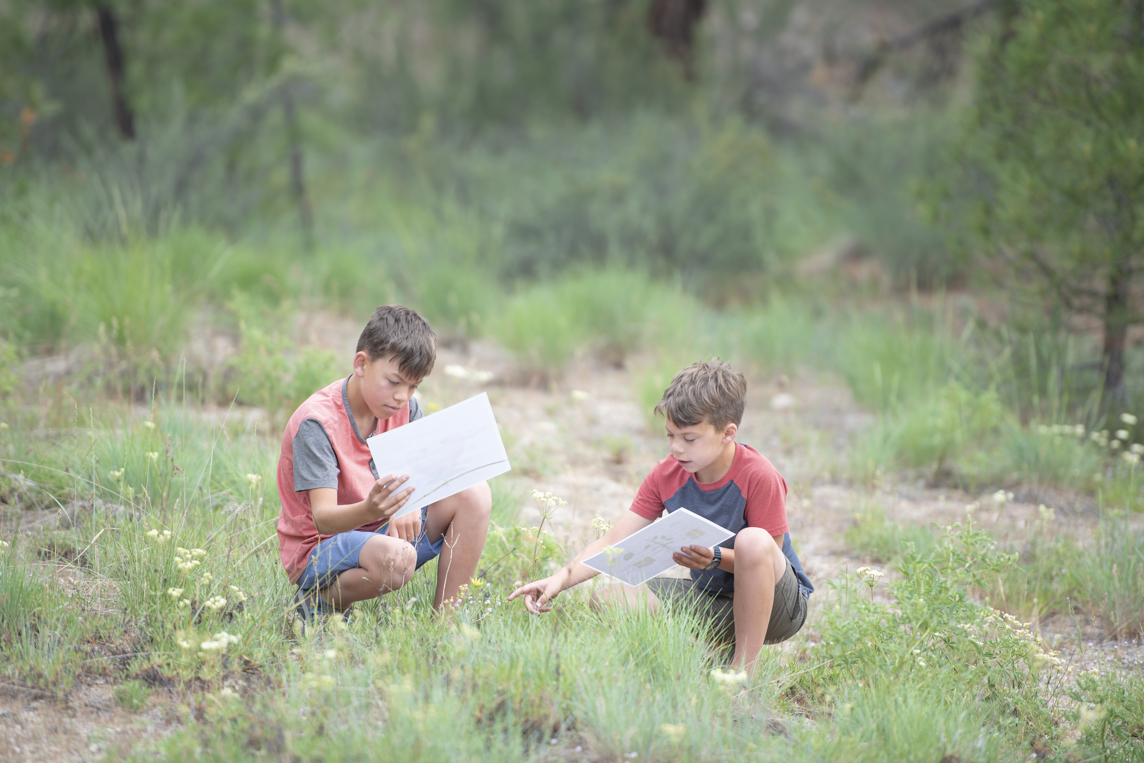 Chelsea Day's sons identify plants outside