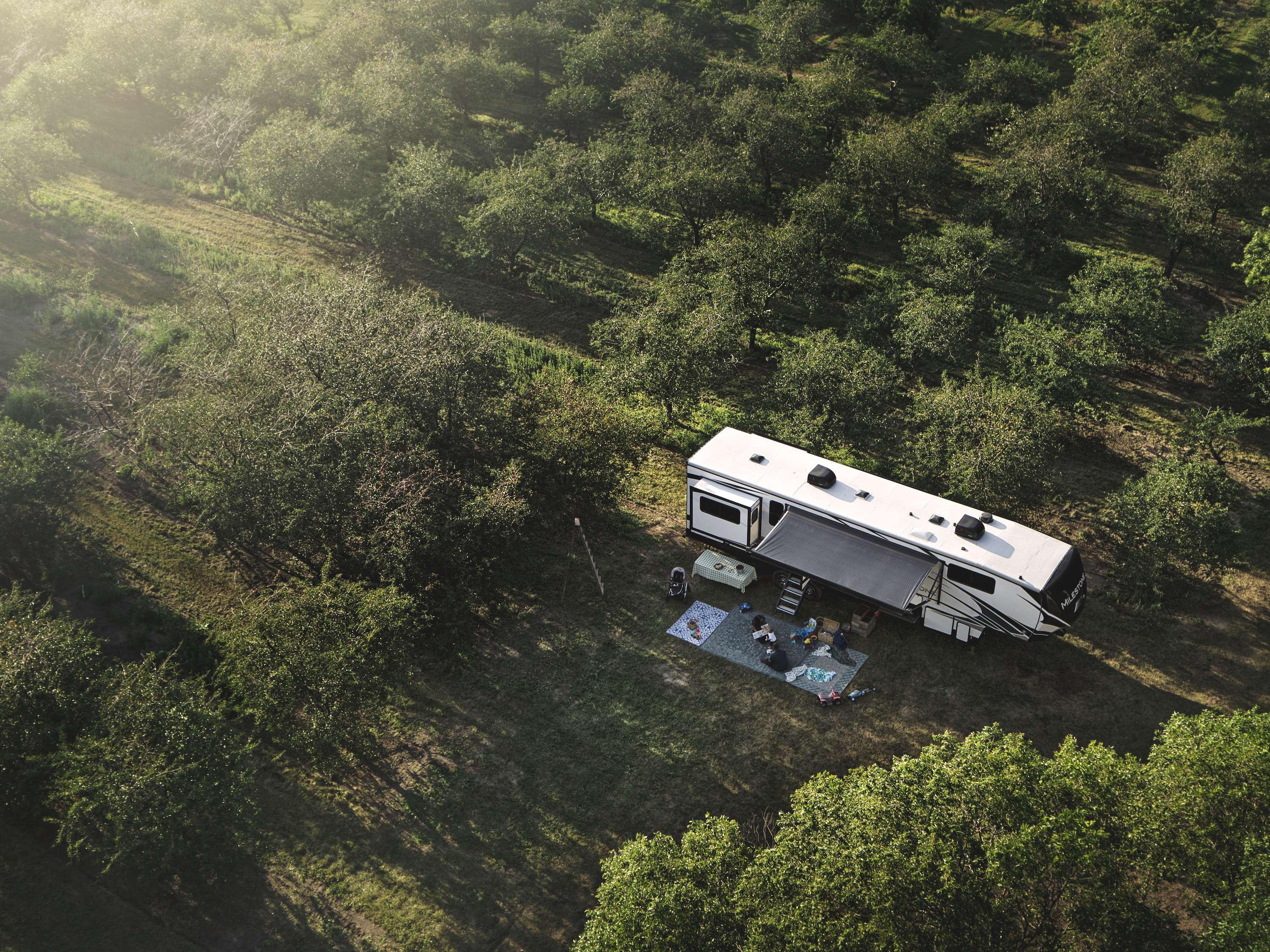 An RV parked in an orchard. 