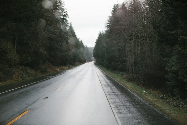 A shot of a wet, black road advancing toward the horizon and lined with pine trees. 