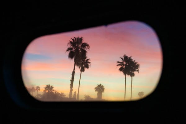 Palm trees at sunset, seen through an oblong, rounded Airstream Travel Trailer RV window. 
