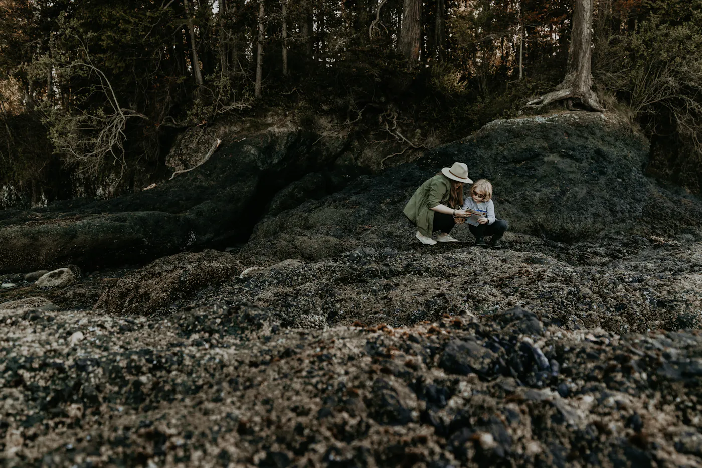 The Murphy family looking at tide pools at Olympic National Park
