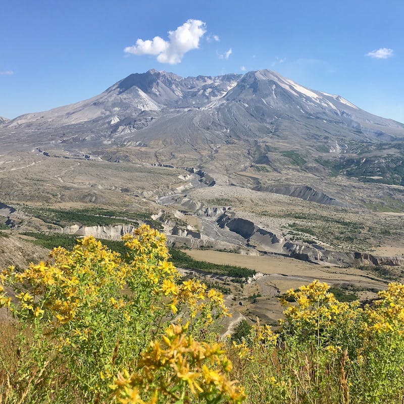 Johnston Ridge Observatory