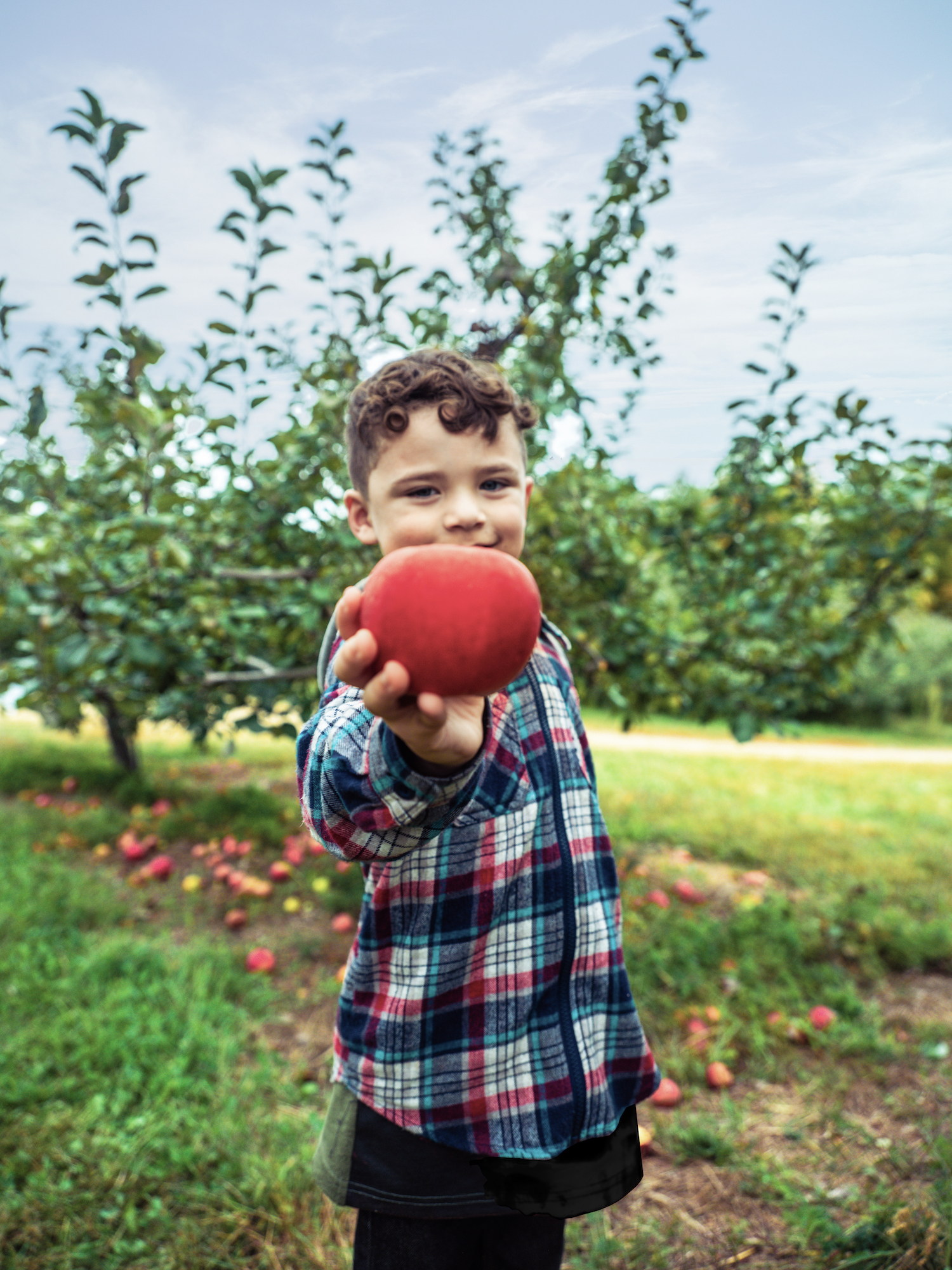 Julian standing in an apple orchard, holding up an apple to the camera. 