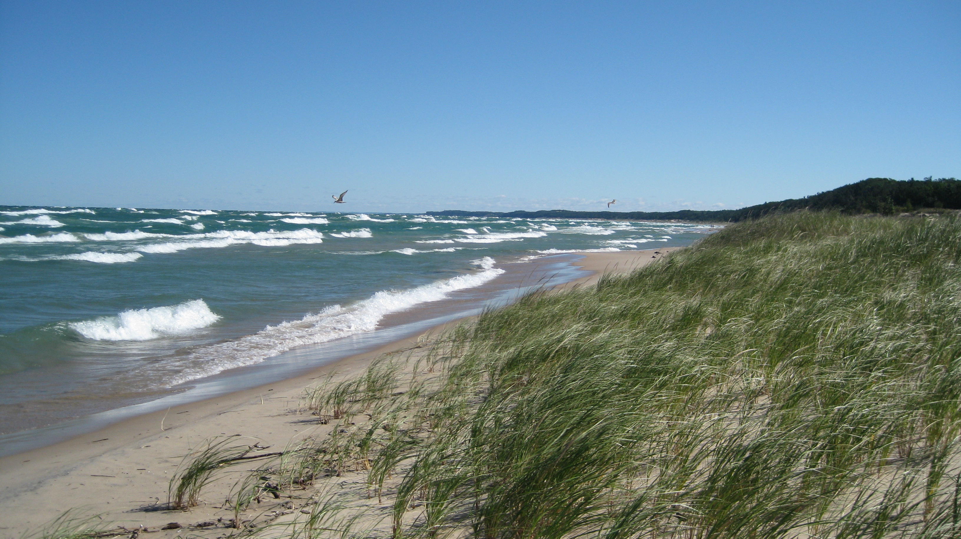 A lake beach at Huron Manistee National Forest