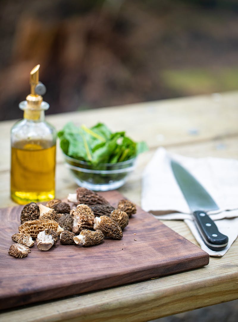 Fresh morels on a cutting board, with a knife, a glass bowl of chard and bottle of olive oil.