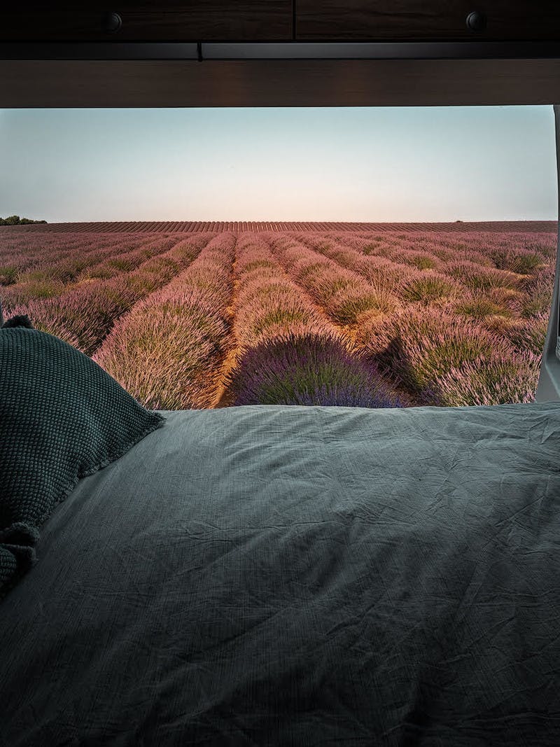 A view from inside a van with a bed in the frame, looking out into the lavender fields of the Valensole area in France.