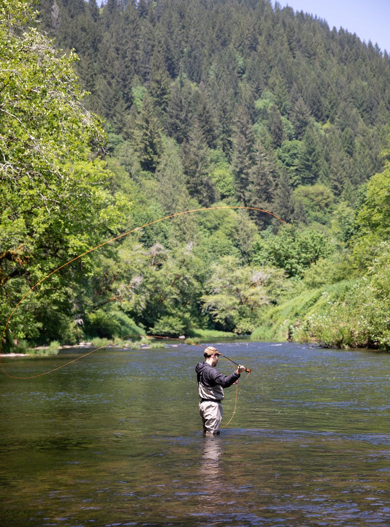 Fisherman knee-deep in river water, casting pole in the Alsea River, surrounded by pine trees.