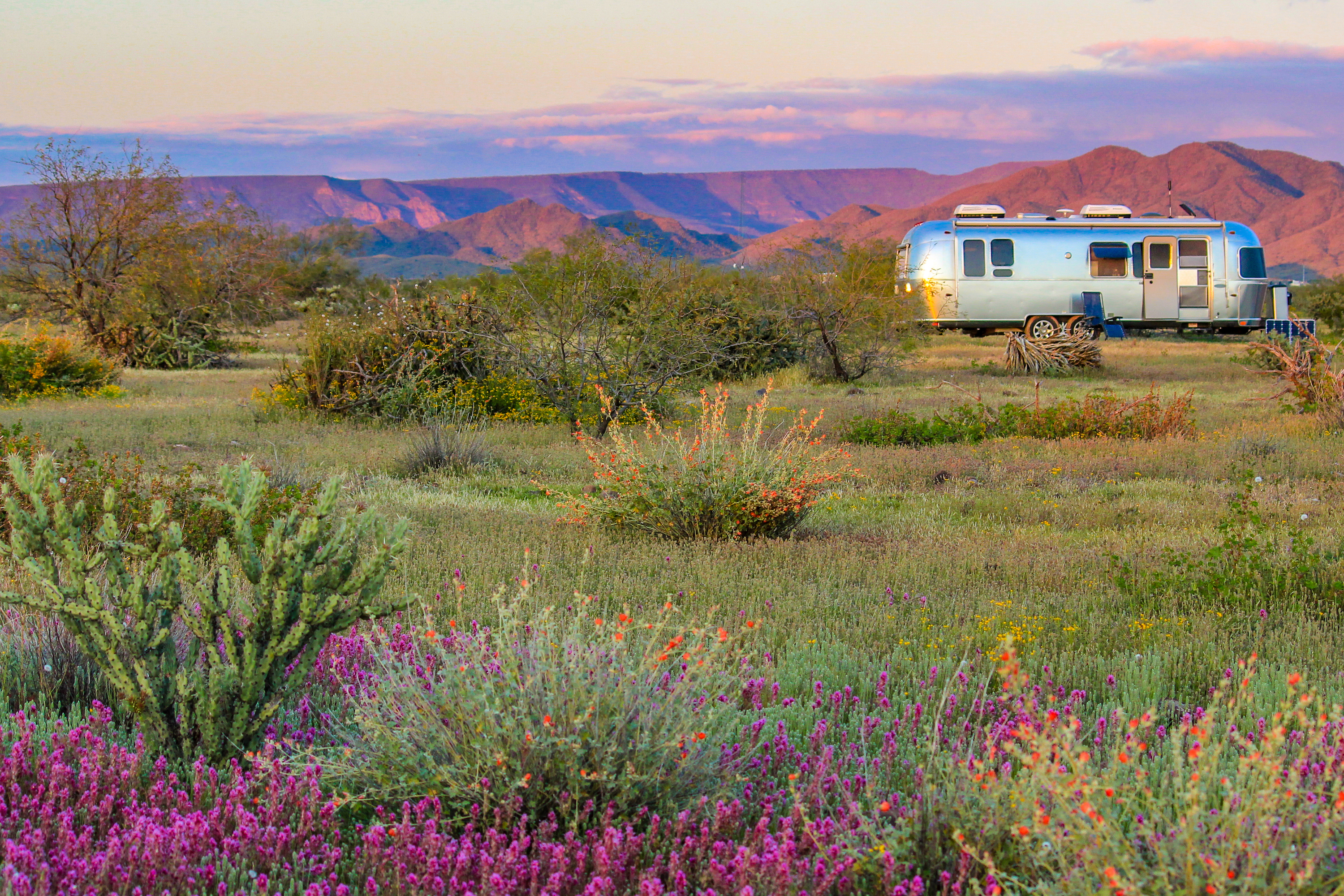 Greg Graham's Airstream parked in a field with wildflowers. 