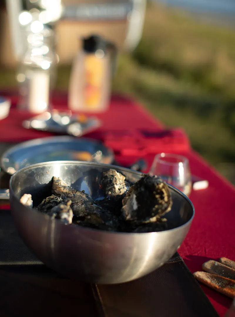 A large silver bowl filled with fresh oysters sits on an outdoor table with a red tablecloth.