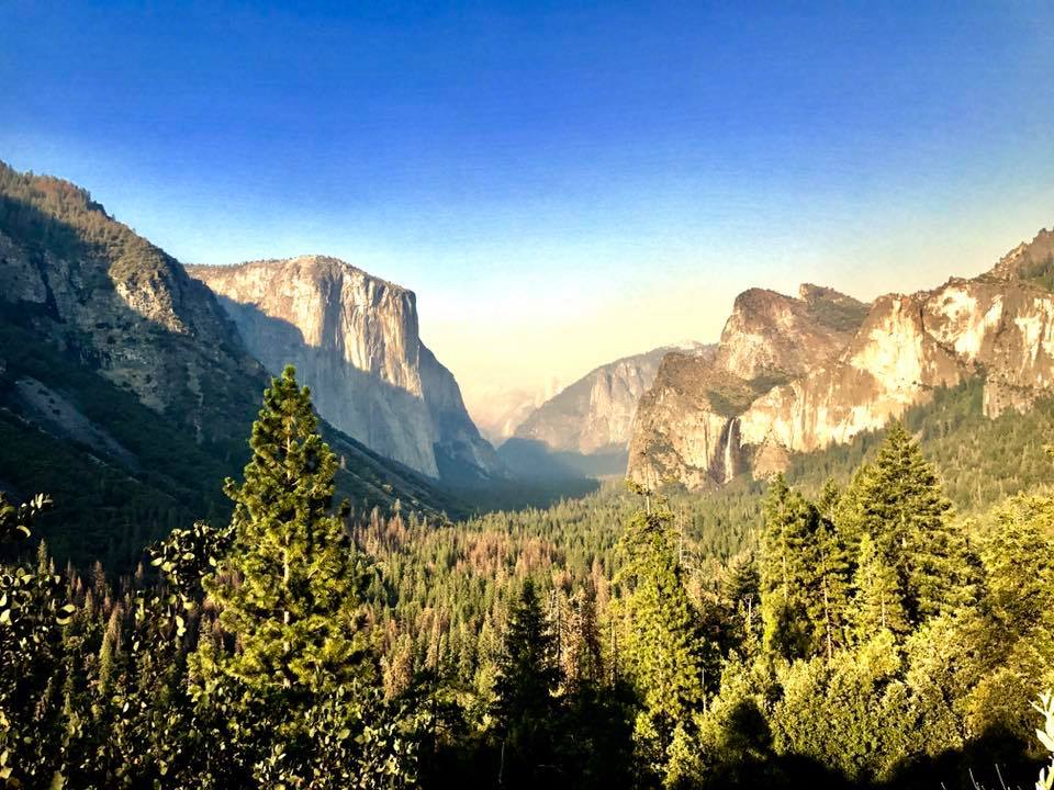 Expansive shot of Yosemite National Park Valley full of green pine trees and surrounded by tall mountains and cliffs