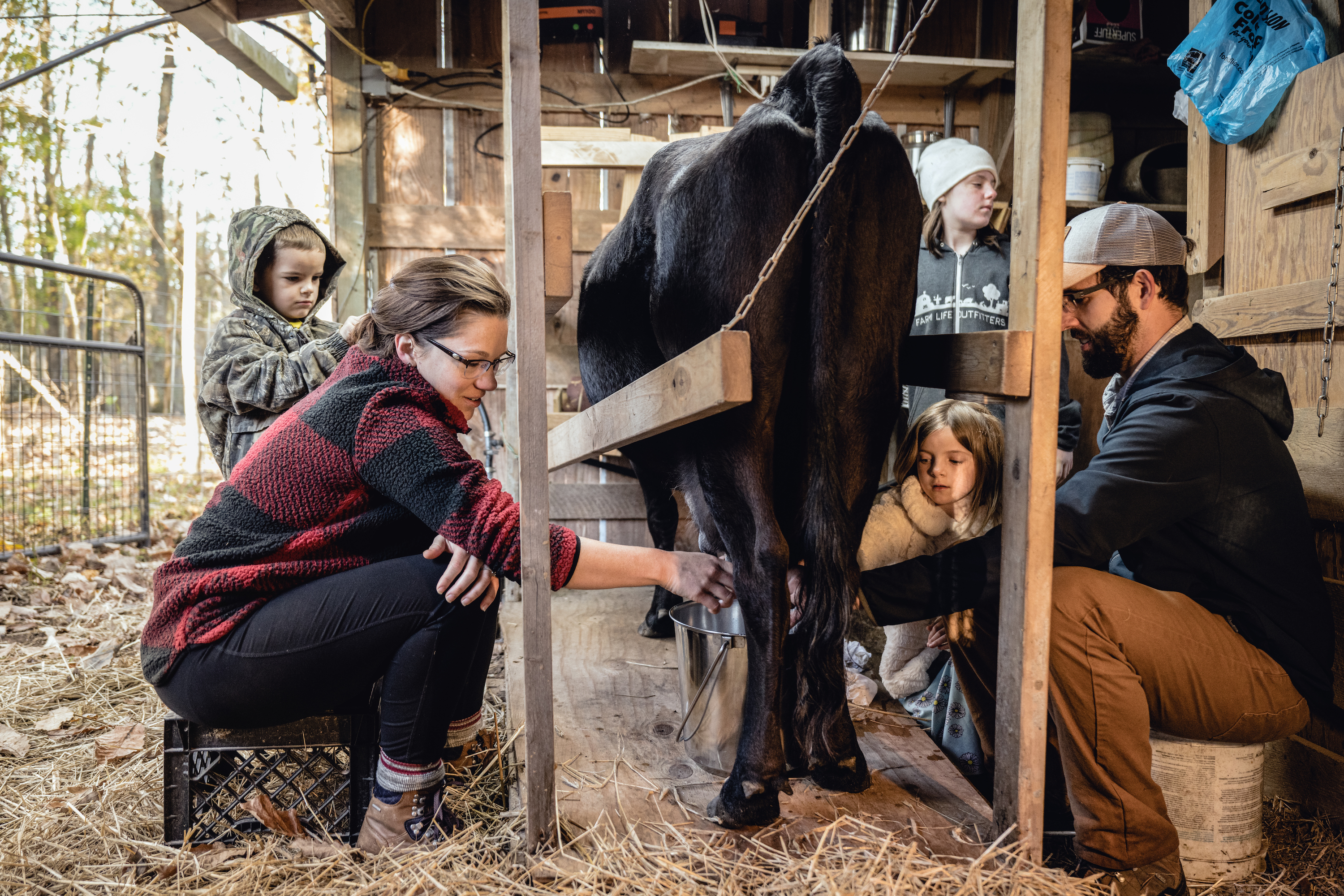 Todd & Marcia Schabel milk a cow with the help of the farmer's children.