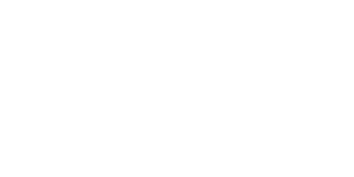 cruiser logo white