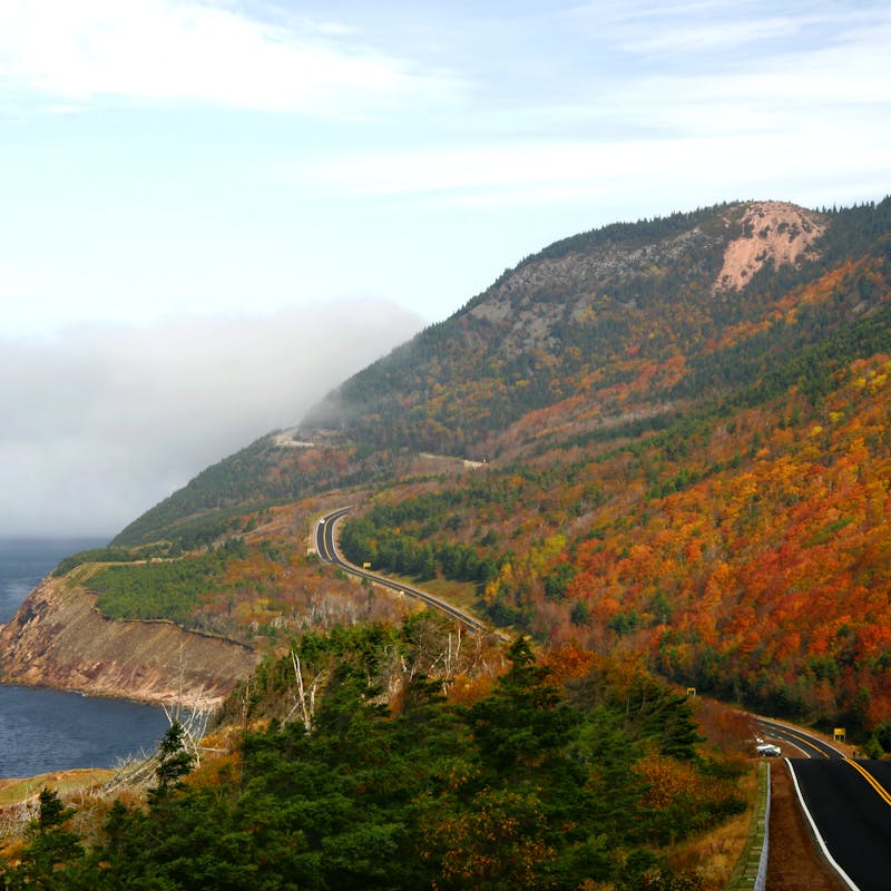 Sloping mountainside covered in red and orange trees with a road running along the side next to the ocean
