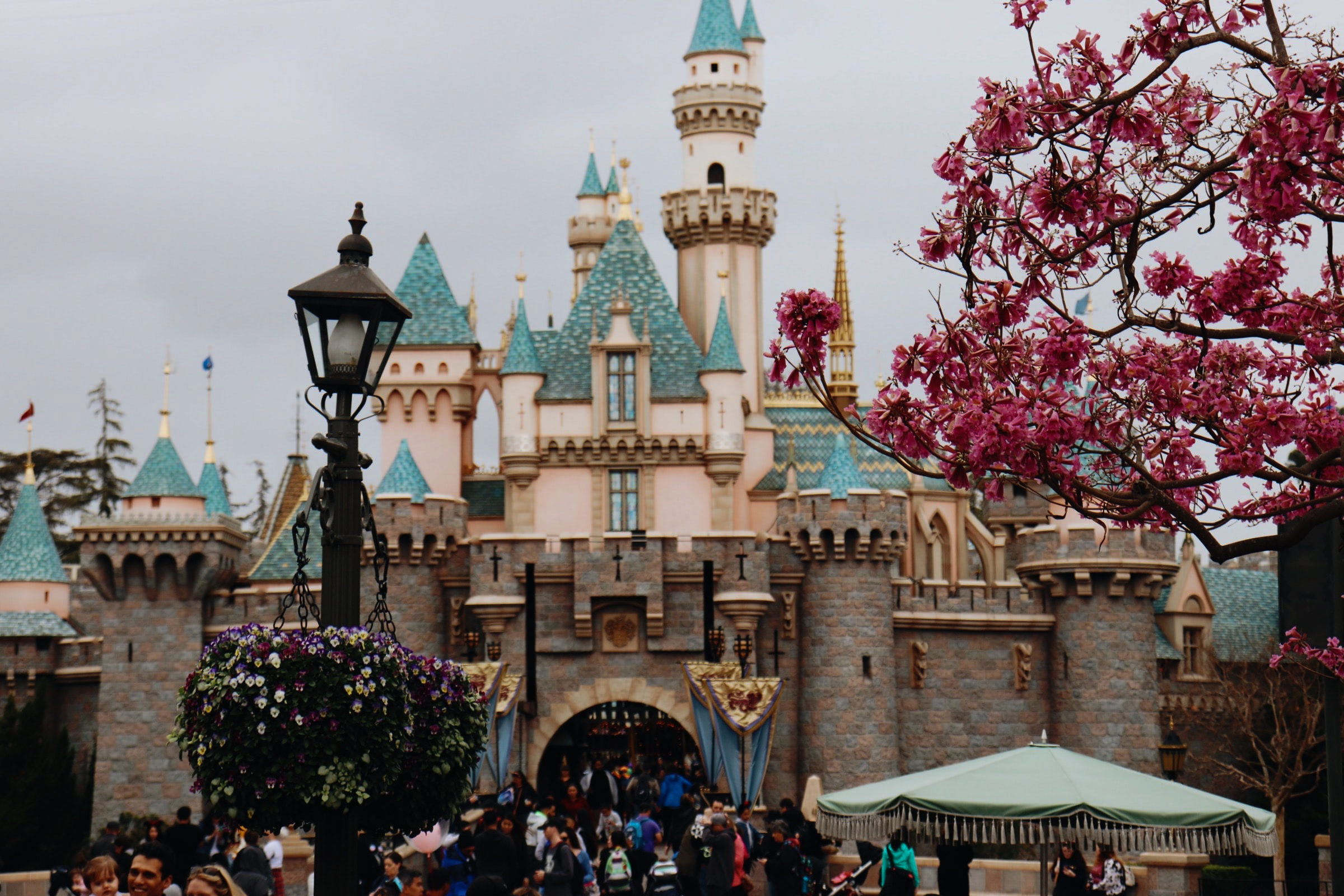 Shot of Disneyland Magic Castle in California with flowering tree and tall black lamppost