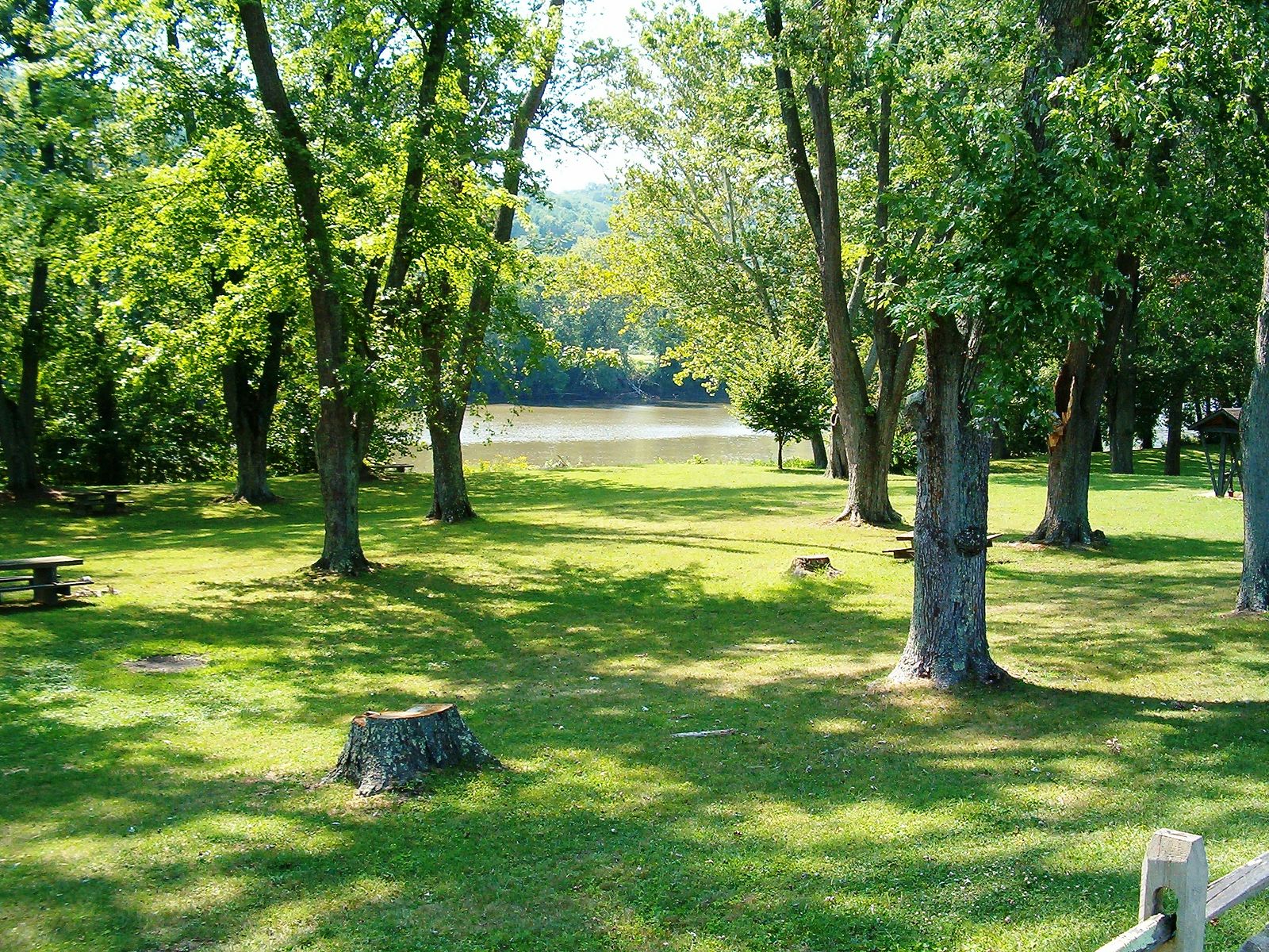Lush green grass and beautiful trees open up to a lake.
