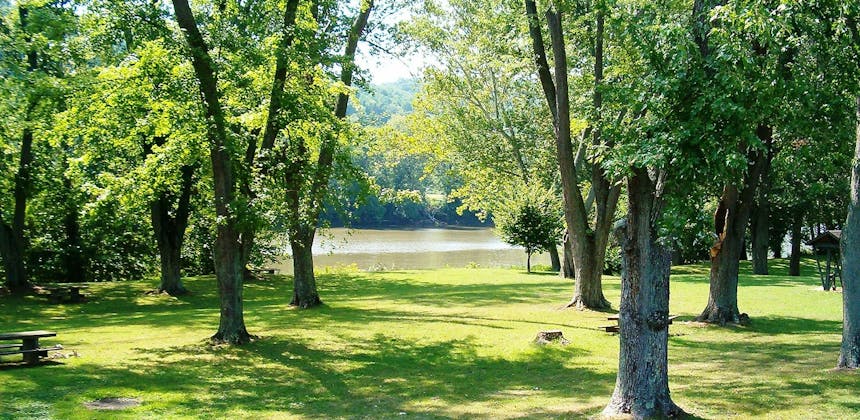 Lush green grass and beautiful trees open up to a lake.