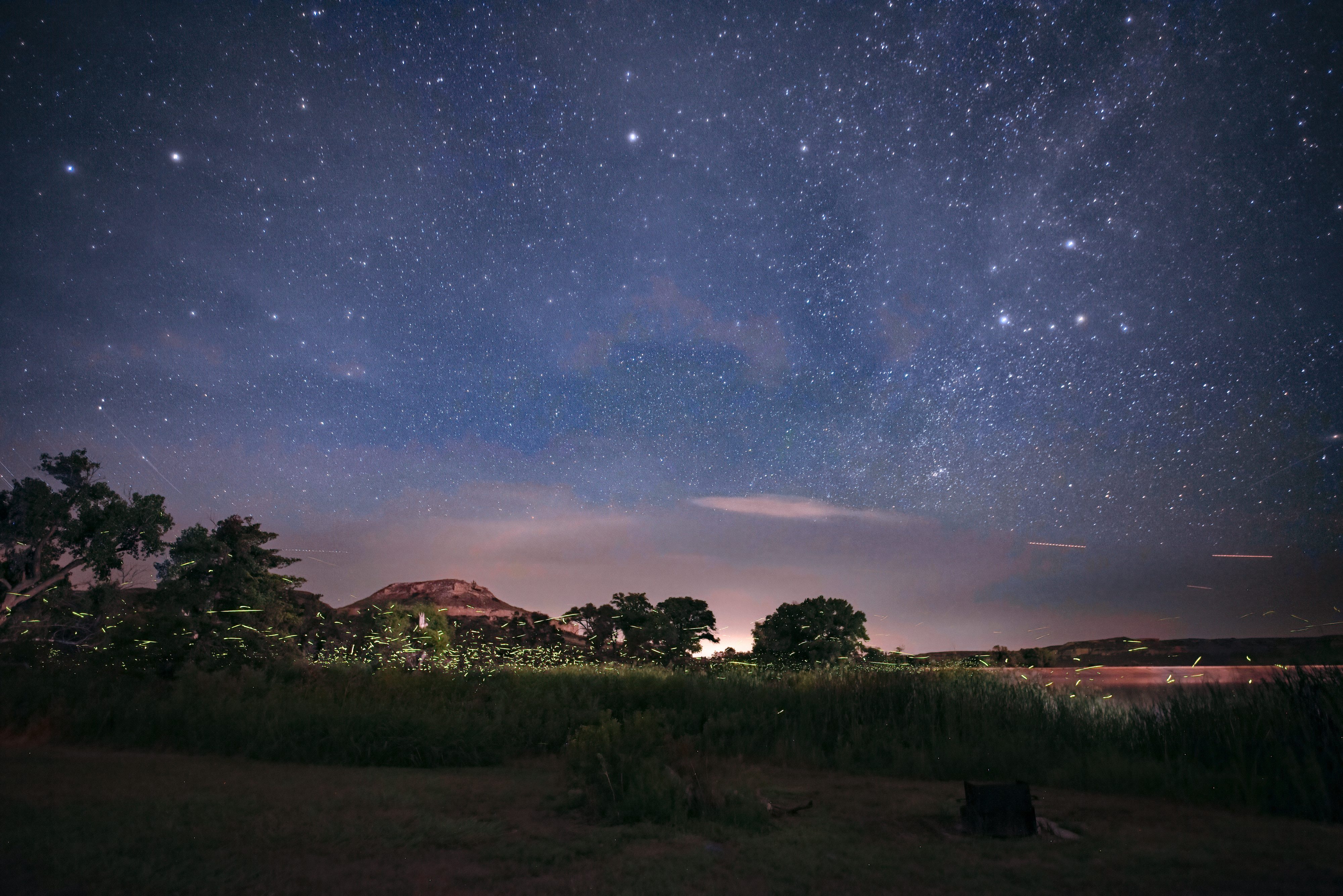 Fireflies captures in the night sky by Jason Takacs