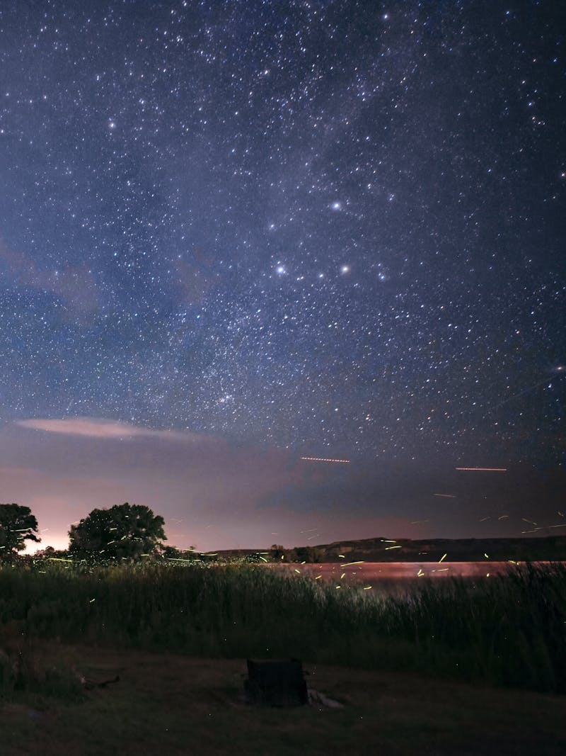 Fireflies captures in the night sky by Jason Takacs