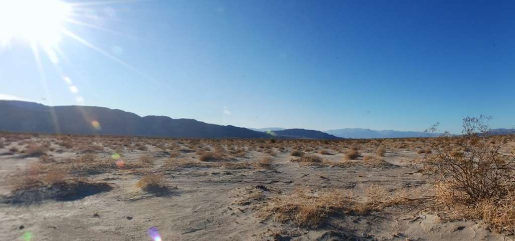 A dusty desert landscape at Ocotillo Wells SVRA.