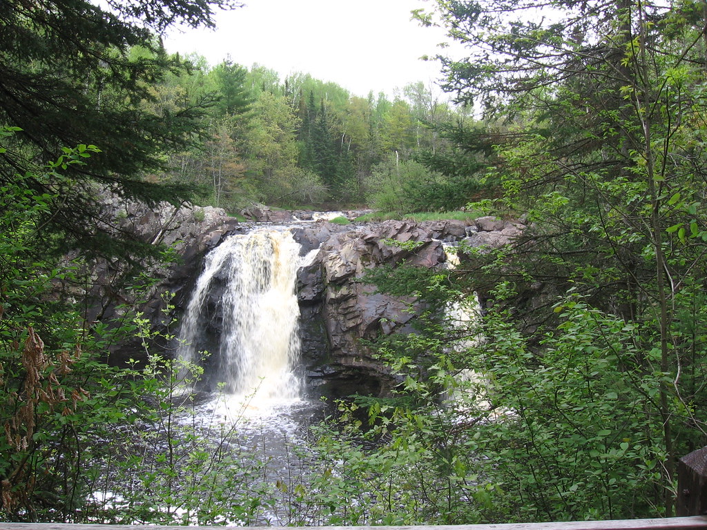 A waterfall in a forest.