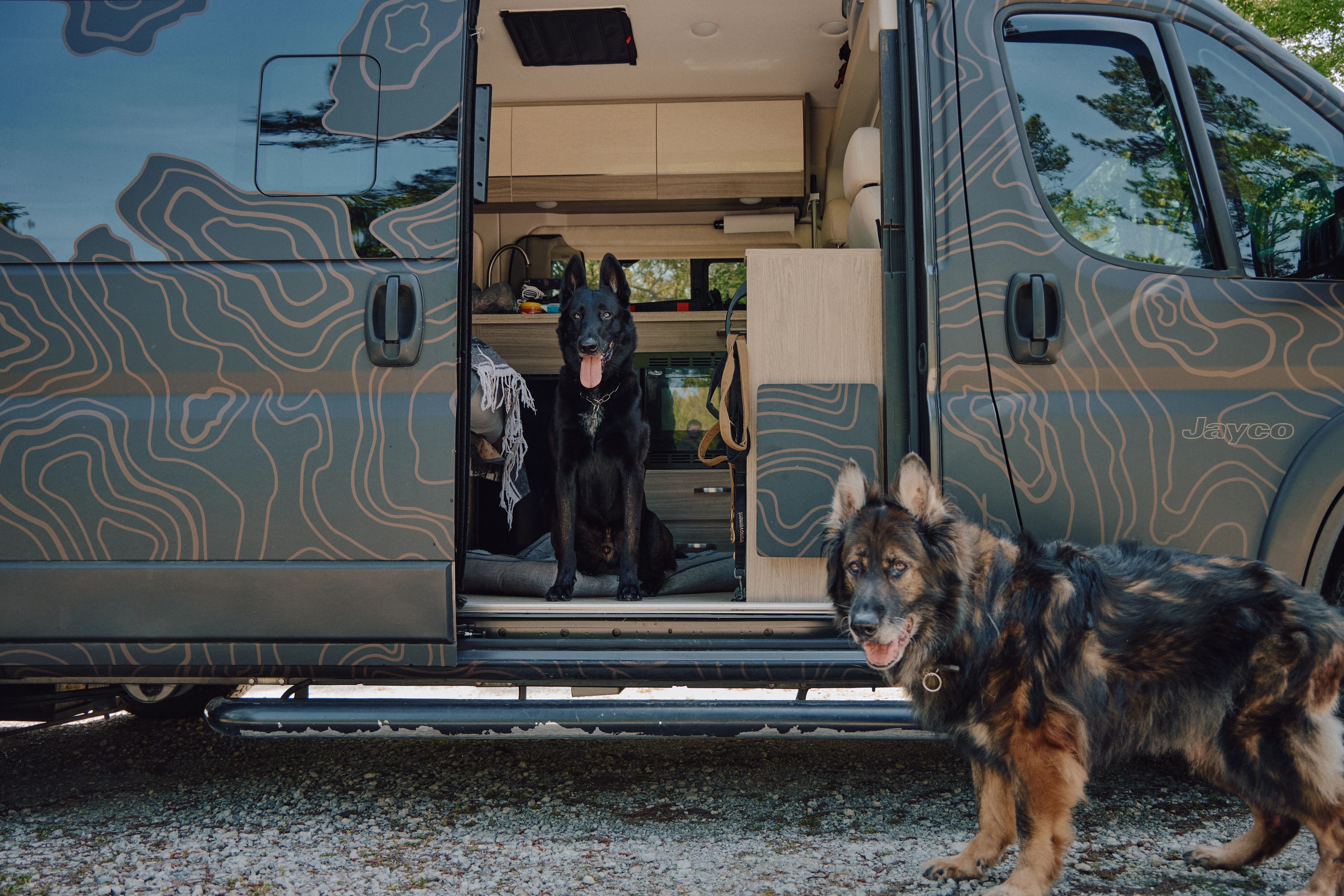 Aaron Tucker's dogs hanging out inside his RV