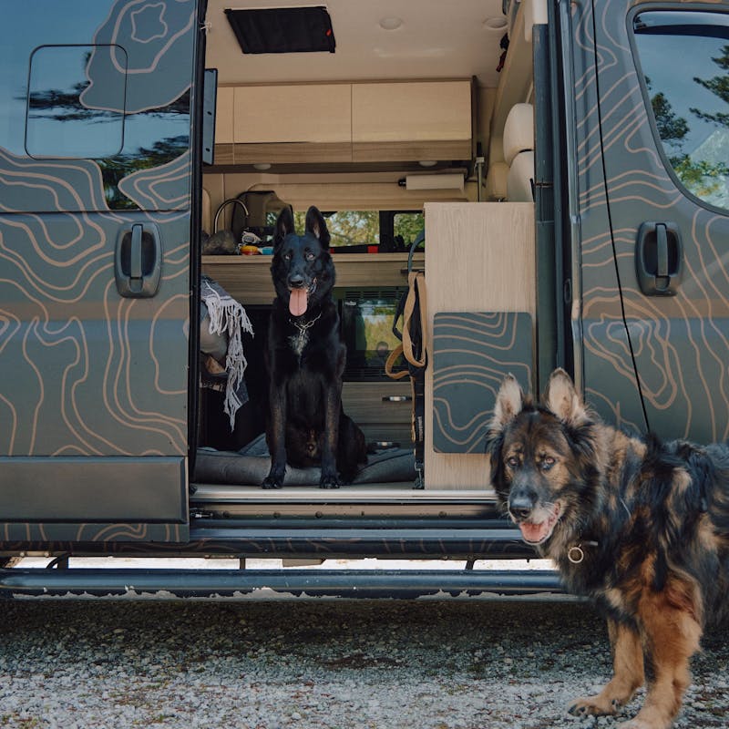 Aaron Tucker's dogs hanging out inside his RV