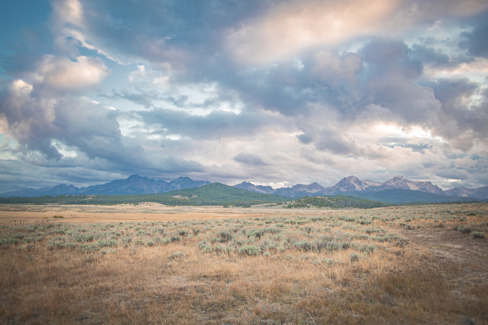 A landscape of grass and mountains in the distance.