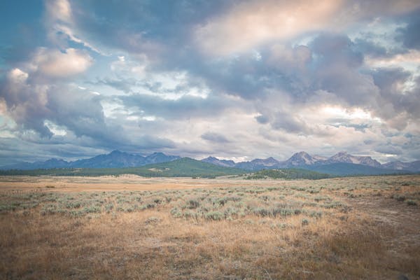 A landscape of grass and mountains in the distance.
