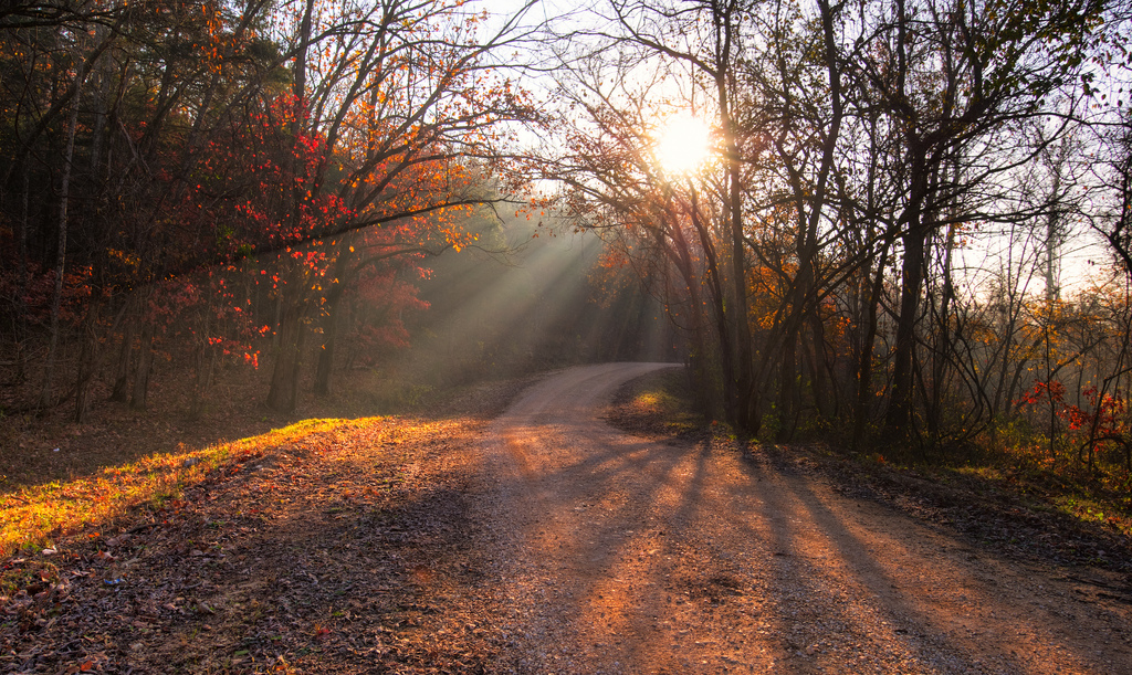 Mark Twain National Forest, Missouri - National Forest Foundation