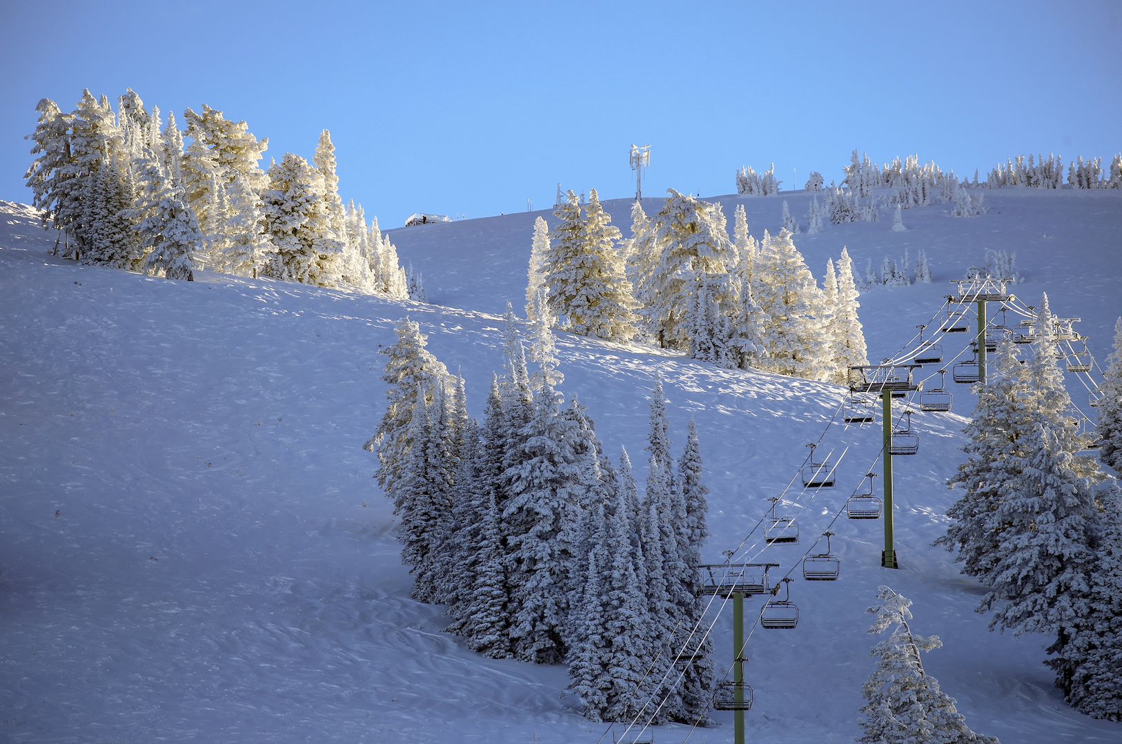 Chair lift going up snowy mountain with snow-covered pine trees