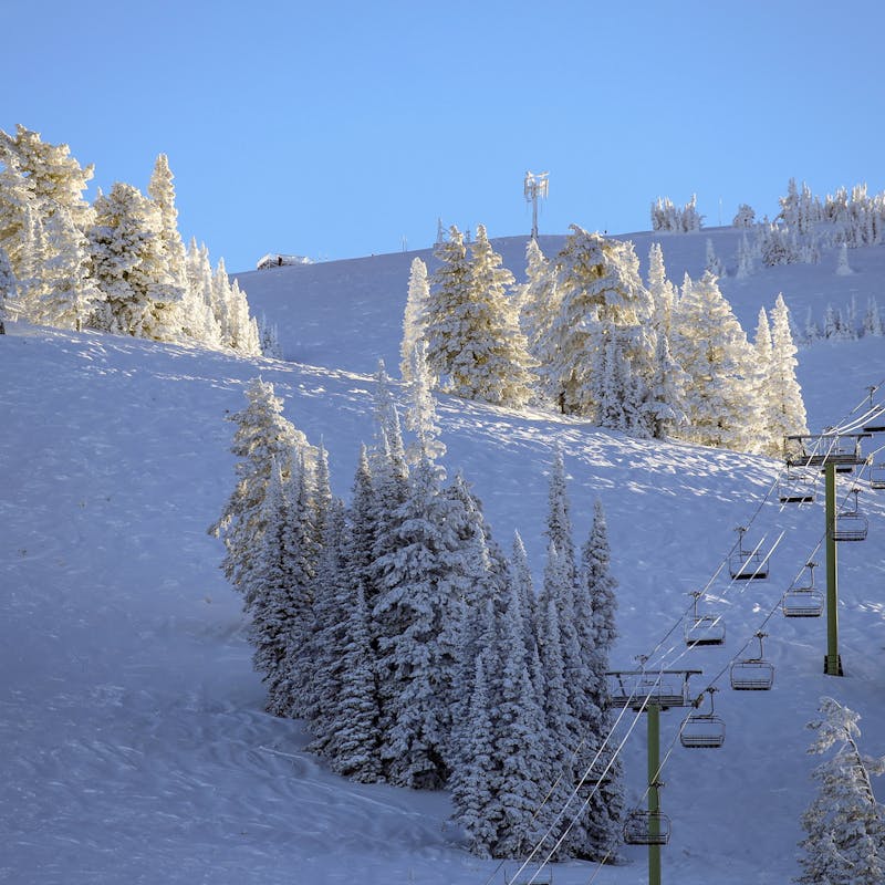 Chair lift going up snowy mountain with snow-covered pine trees