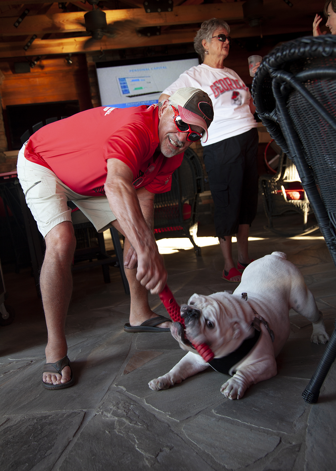 An older man playing tug of war with a cute white bulldog.