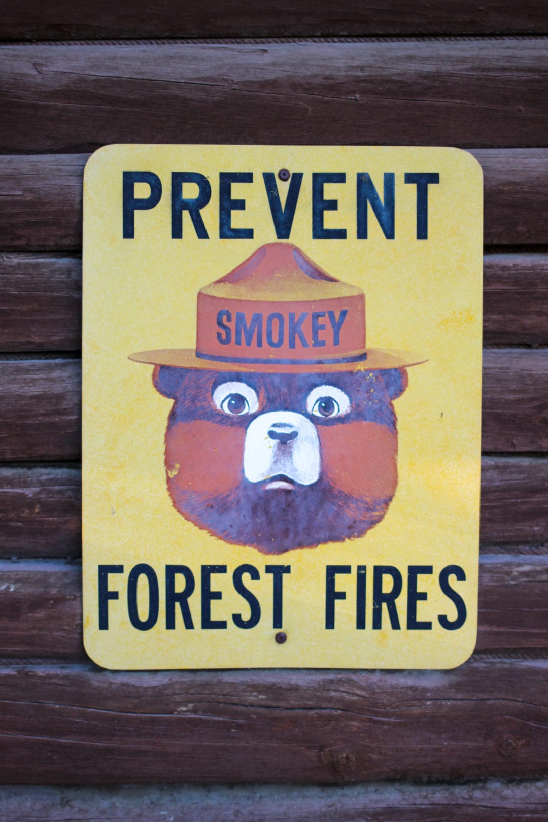 Yellow pop art style Smokey Bear sign