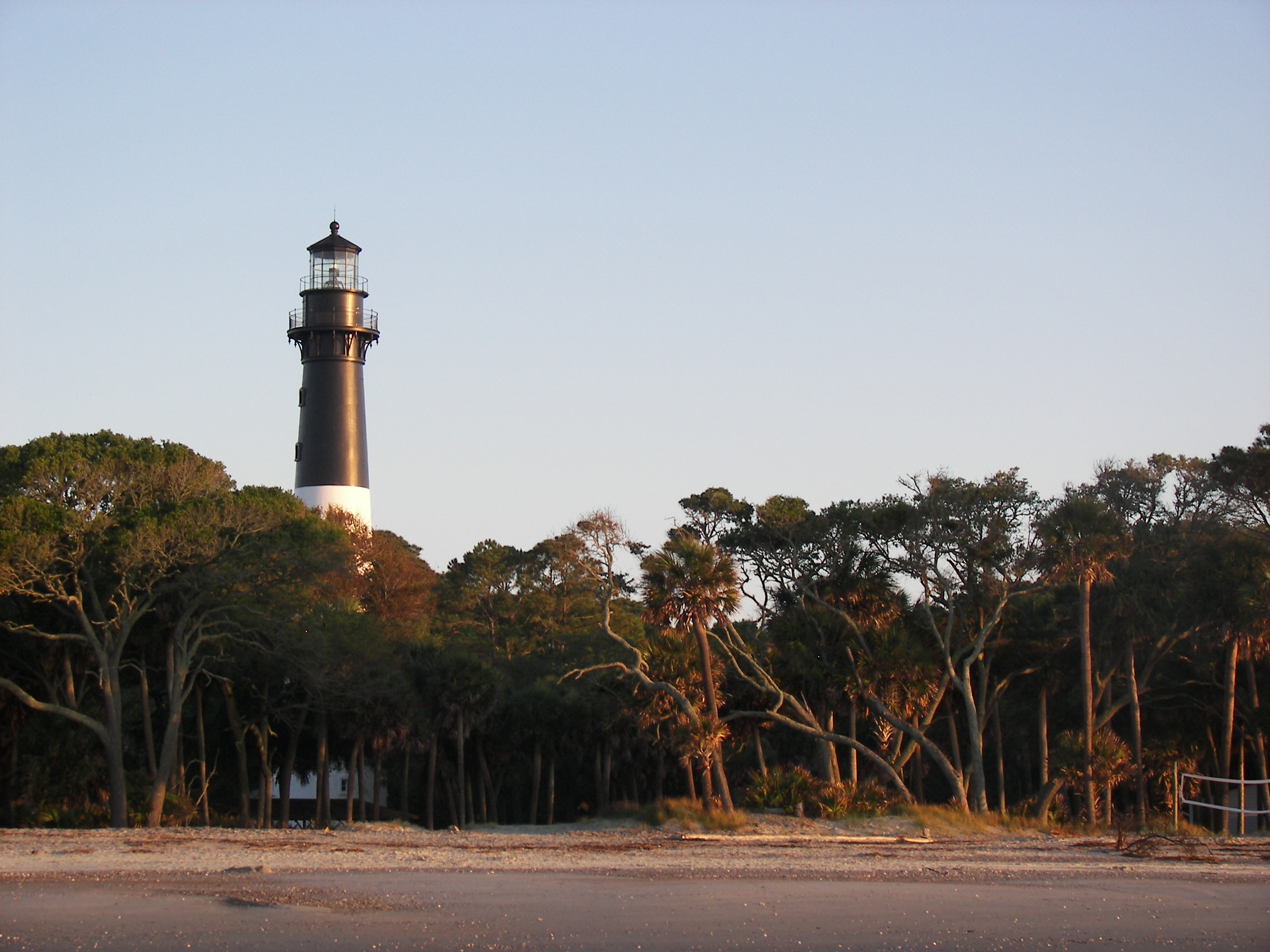 Tall black and white lighthouse partially obscured by cluster of trees along a sandy beach